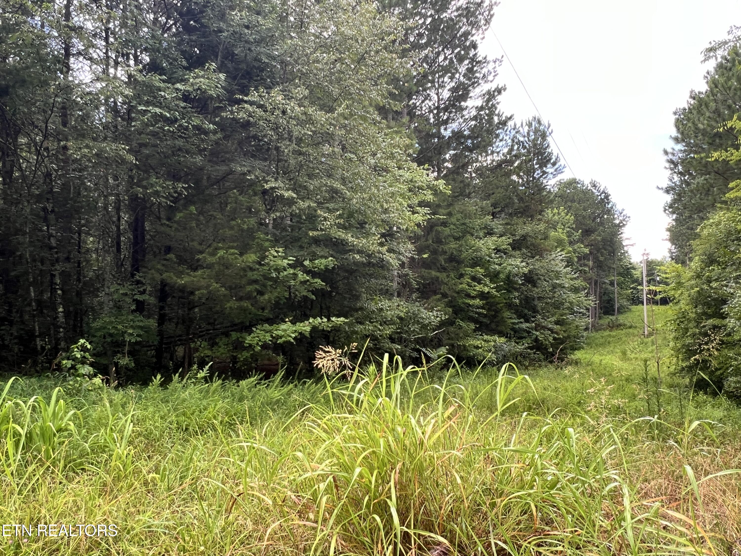 Lot 5 Willie Promore Rd, Decatur, TN 37322 — photo 2