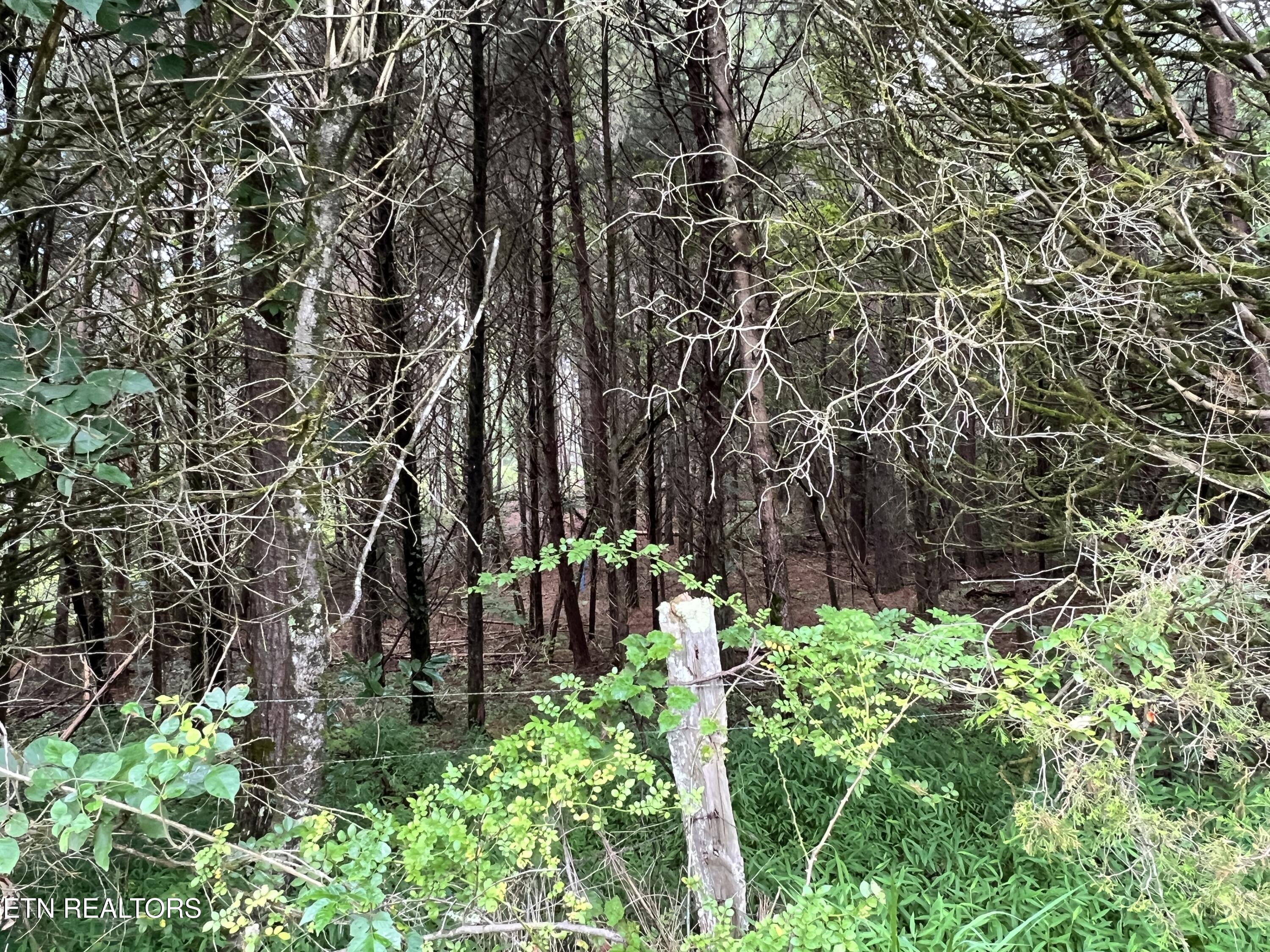 Lot 6 Willie Prigmore Rd, Decatur, TN 37322