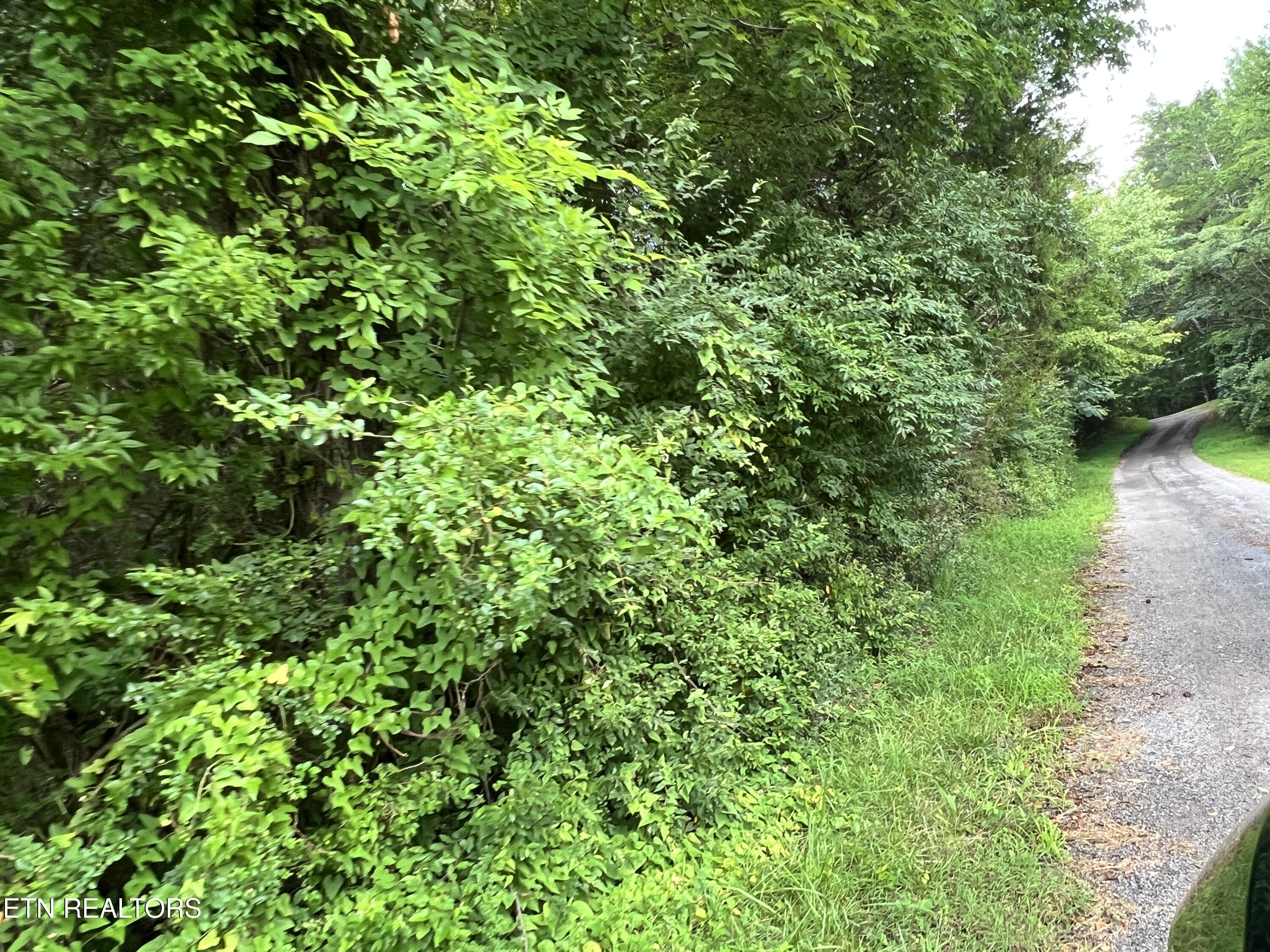 Lot 6 Willie Prigmore Rd, Decatur, TN 37322 — photo 2
