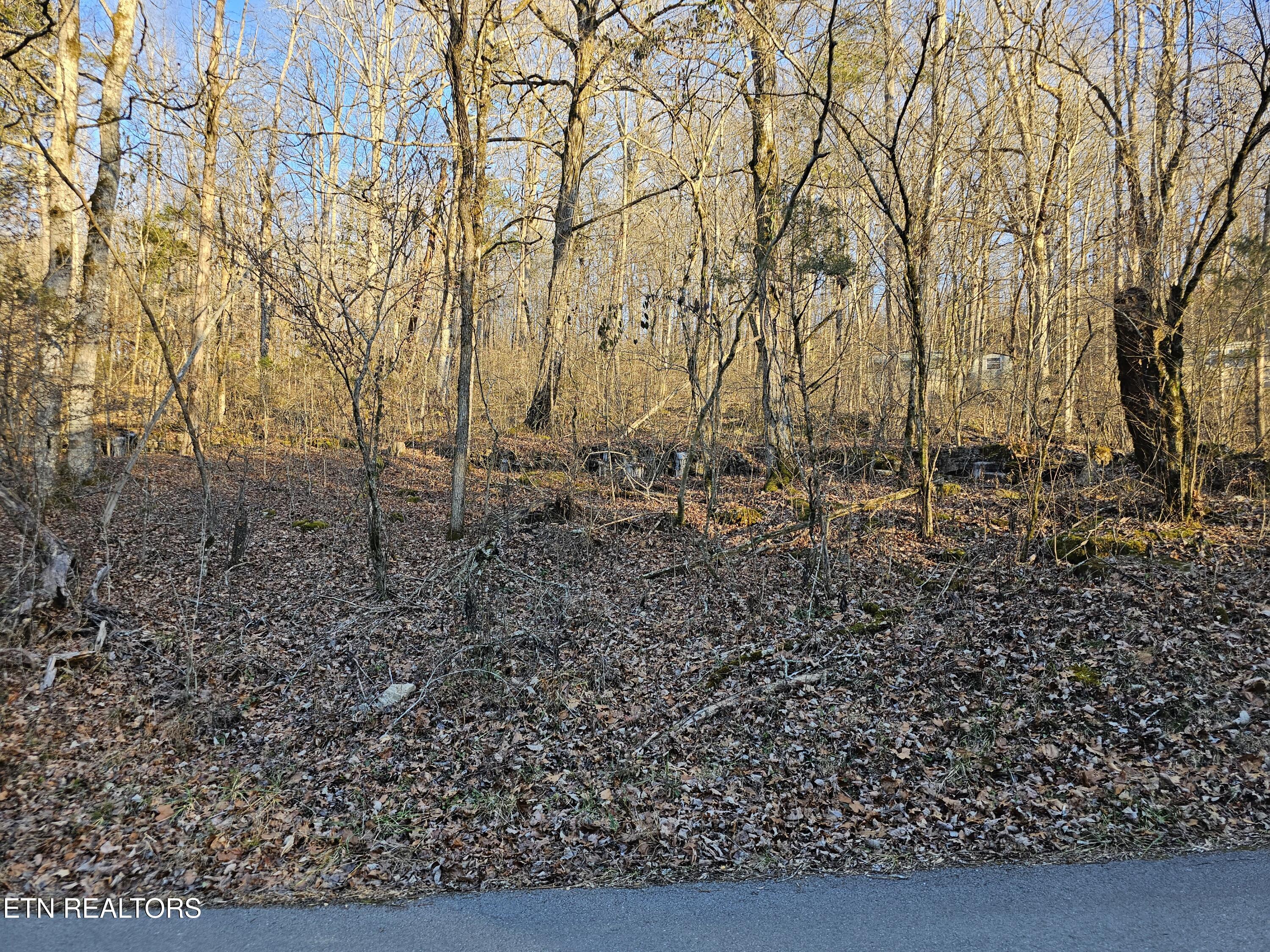 Blue Springs Rd, Speedwell, TN 37870