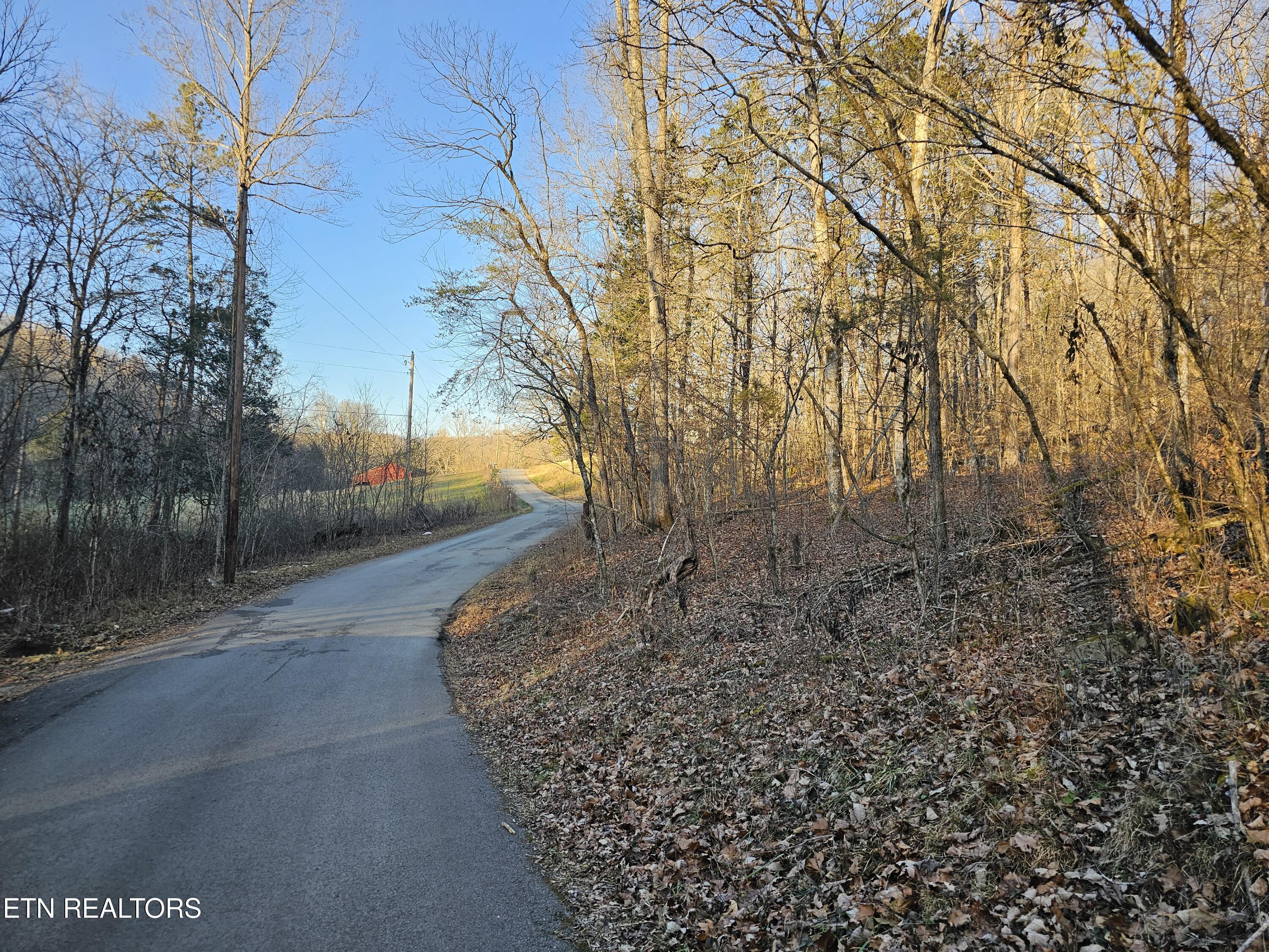 Blue Springs Rd, Speedwell, TN 37870 — photo 2