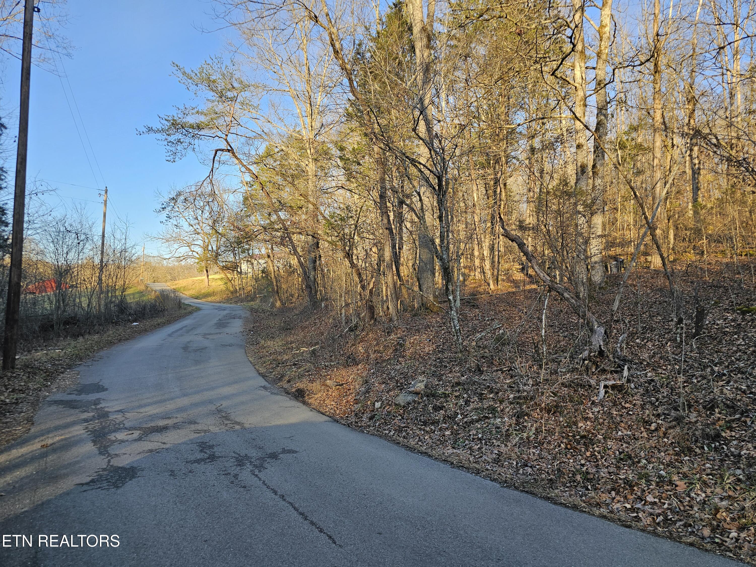 Blue Springs Rd, Speedwell, TN 37870 — photo 3