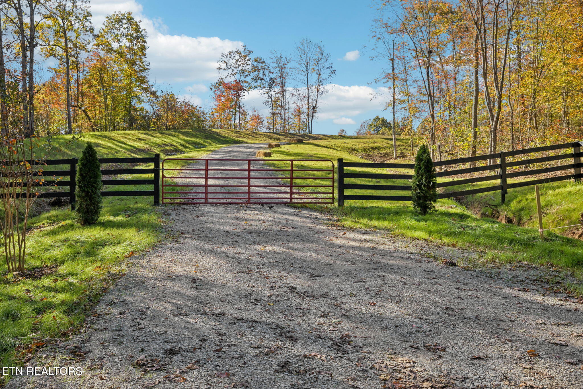 Sheep Ranch Rd, Robbins, TN 37852