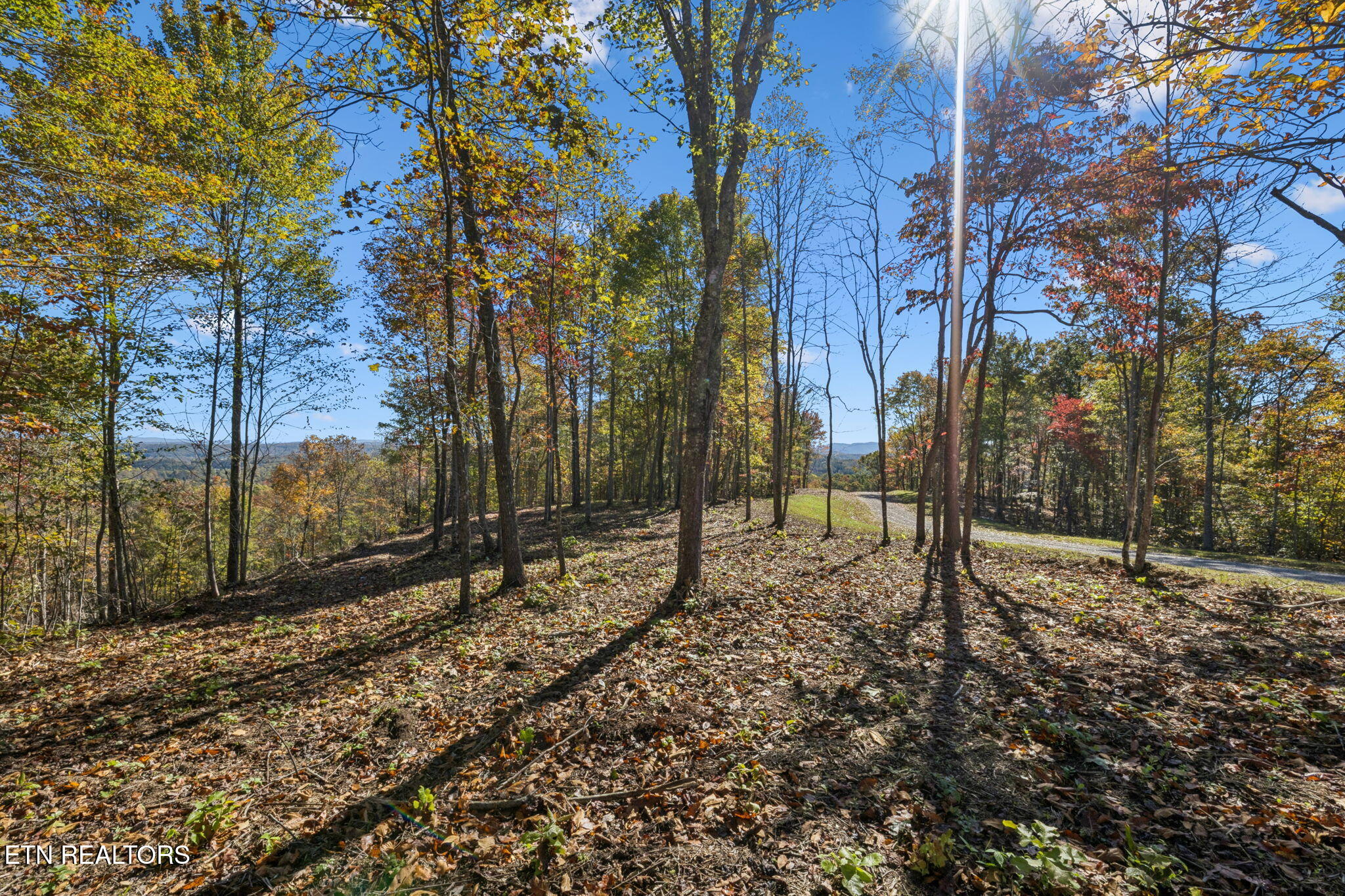 Sheep Ranch Rd, Robbins, TN 37852 — photo 2