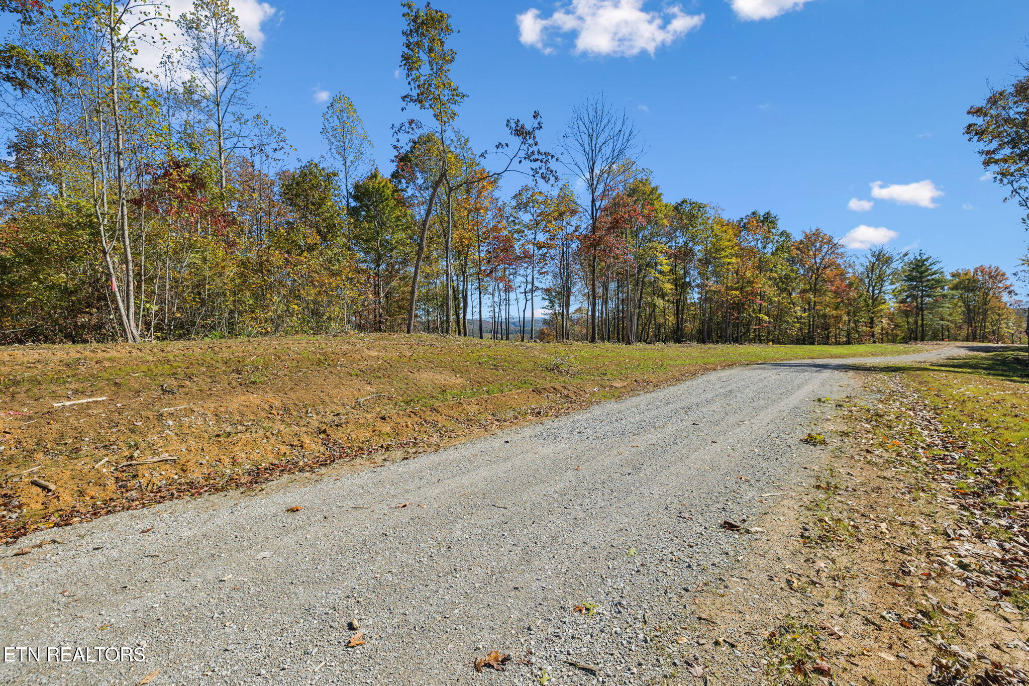 Sheep Ranch Rd, Robbins, TN 37852 — photo 3