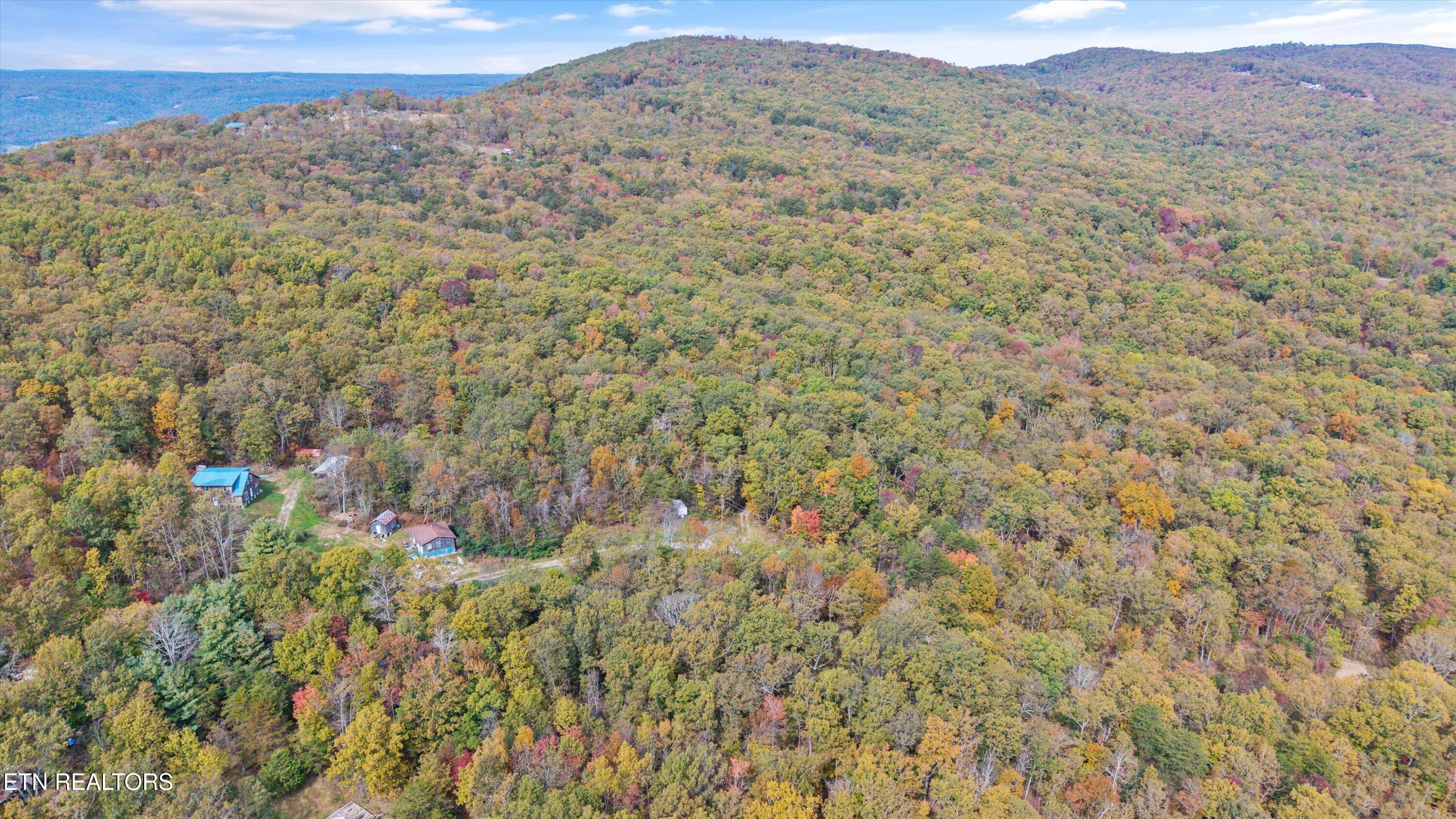 285 Raeanne Drive, Spring City, TN 37381