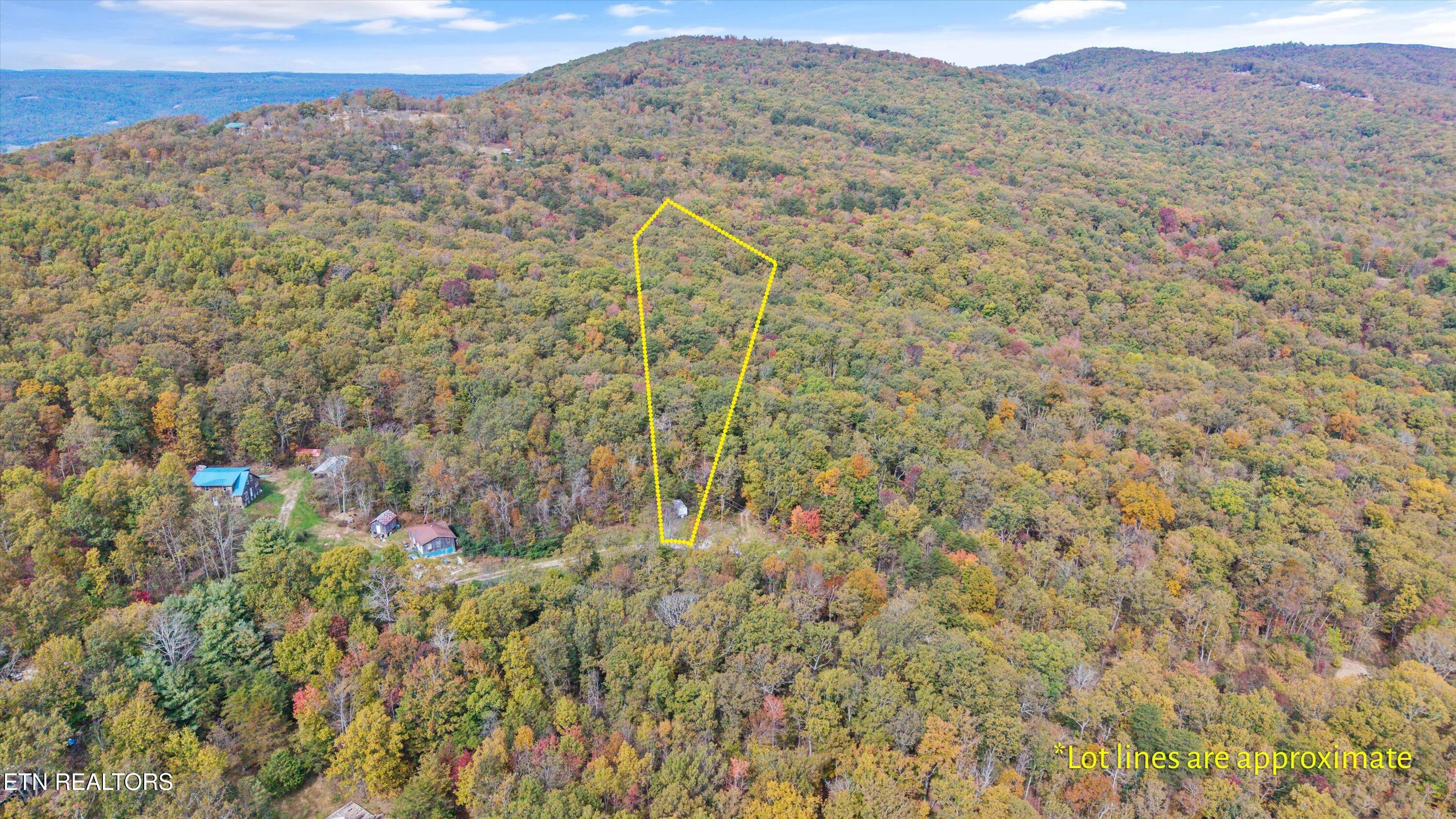 285 Raeanne Drive, Spring City, TN 37381 — photo 2