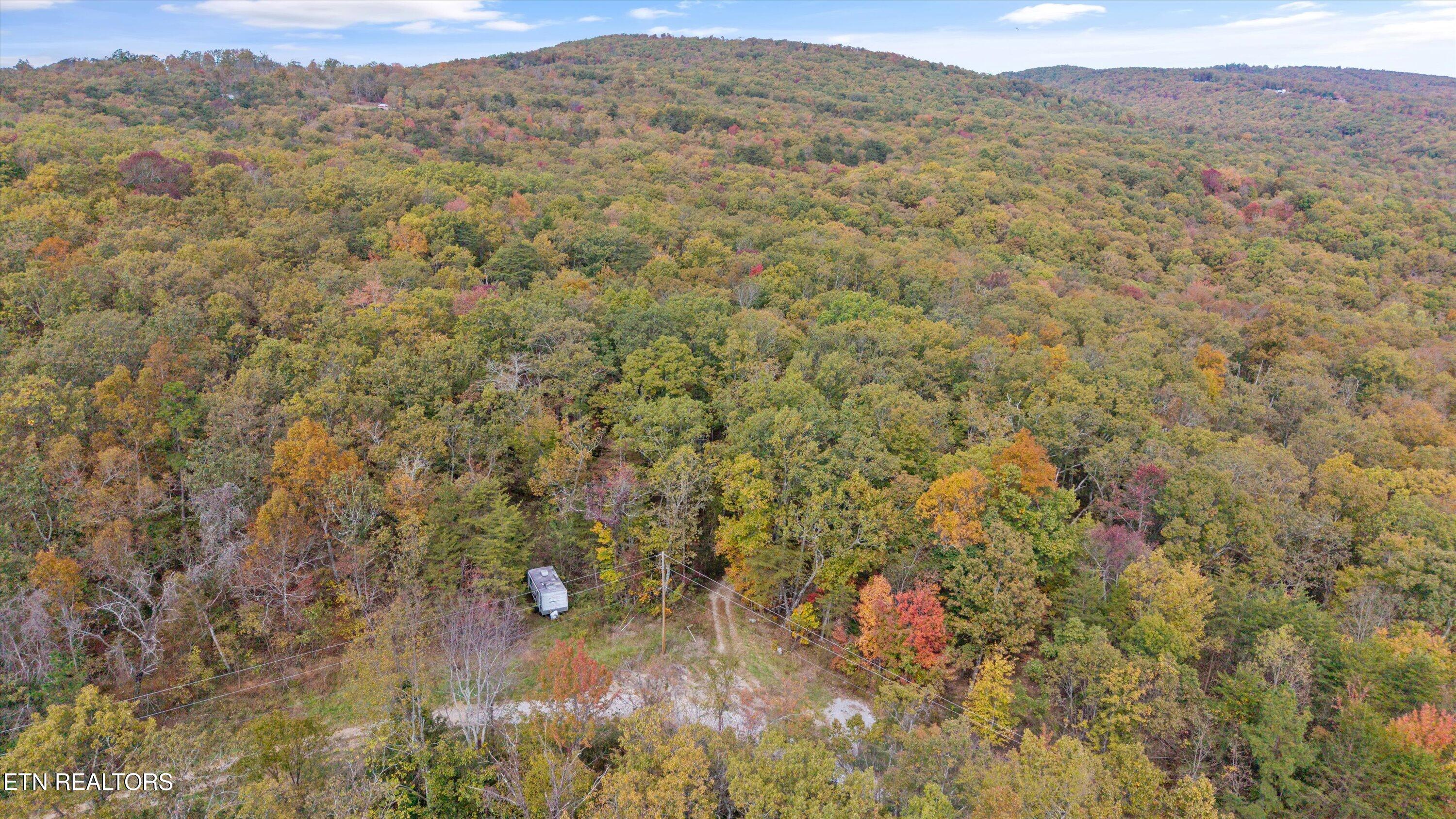 285 Raeanne Drive, Spring City, TN 37381 — photo 3