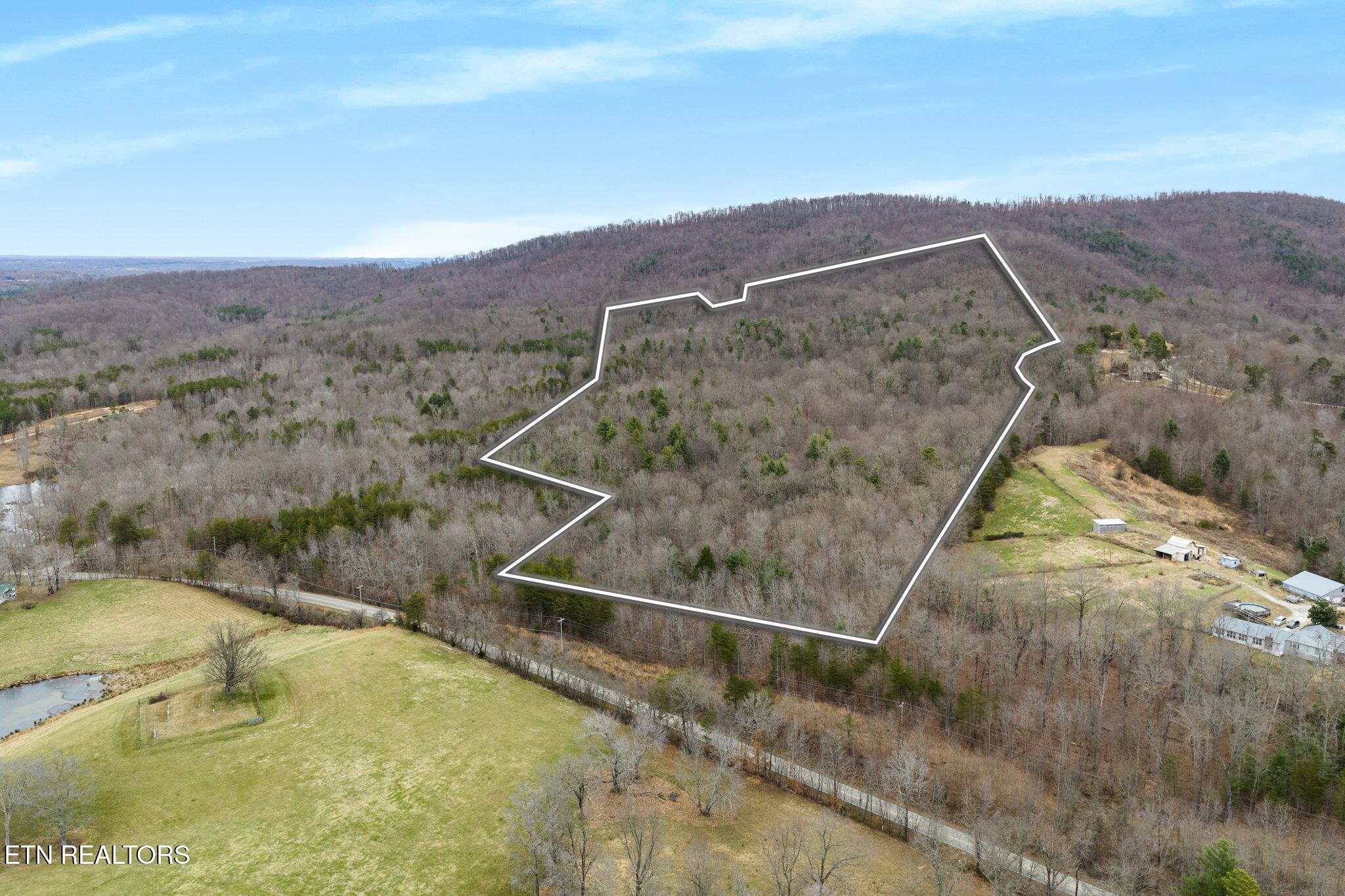 Pleasant Grove Rd, Winfield, TN 37892 — photo 2