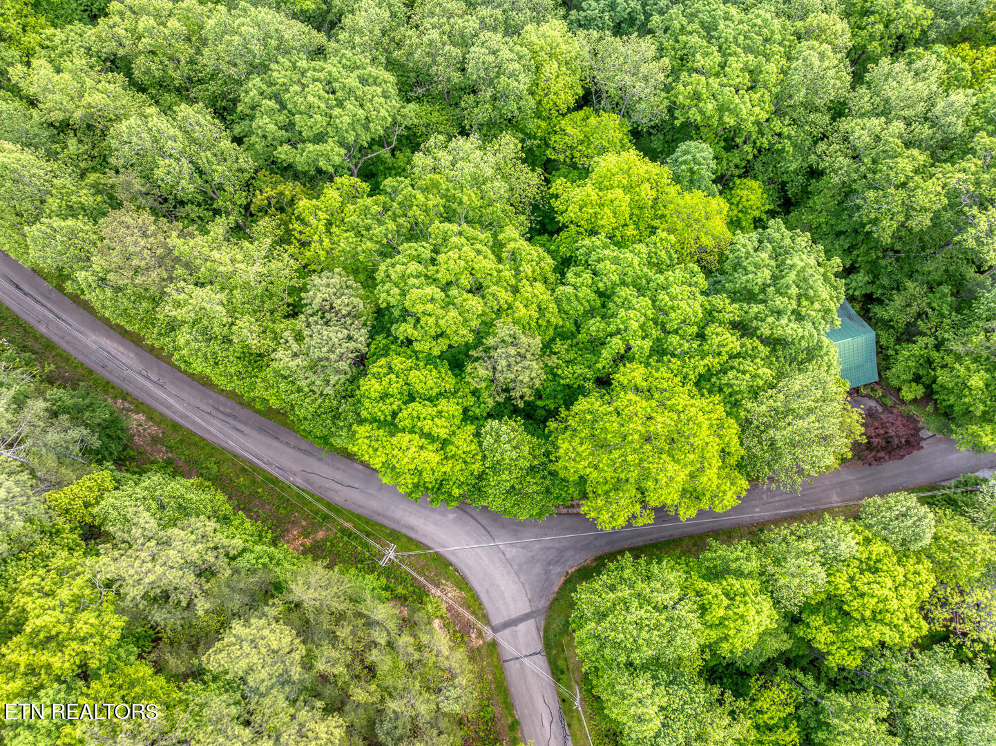 Ace Gap Rd, Townsend, TN 37882 — photo 3