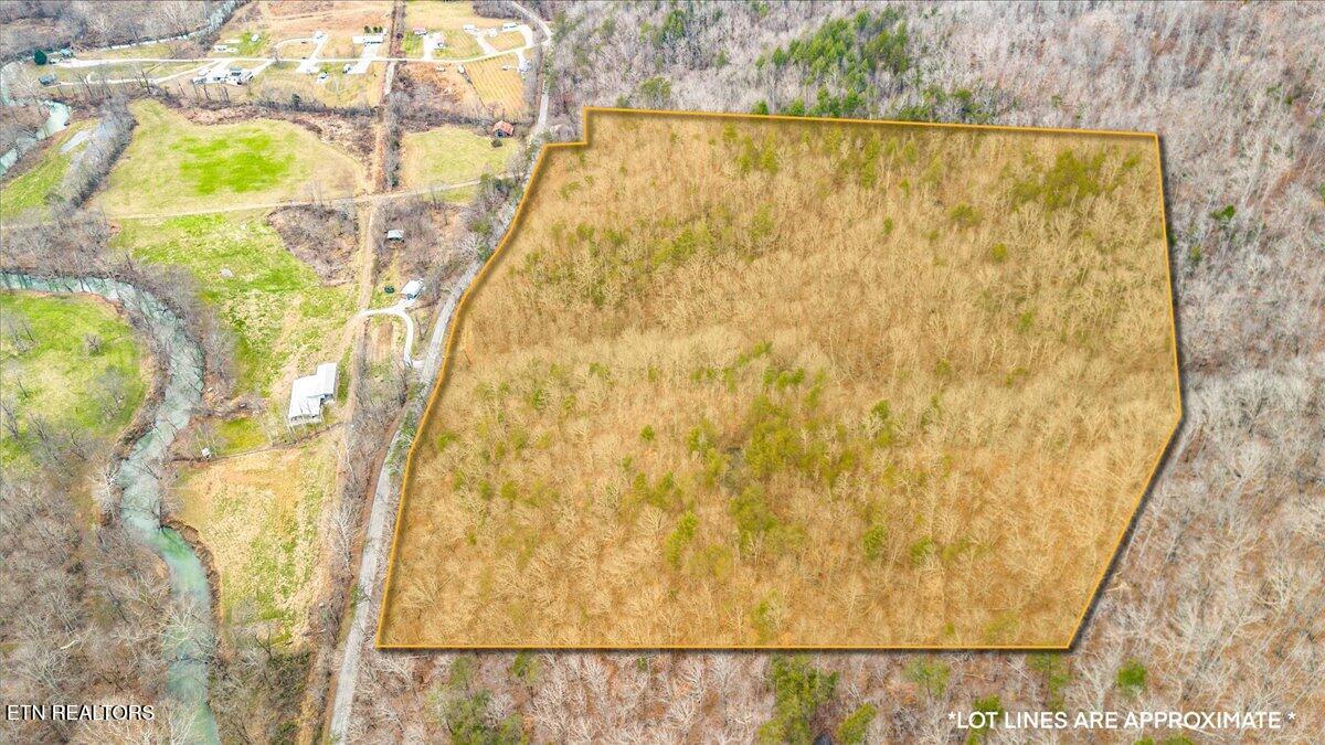 Brimstone Rd, Robbins, TN 37852 — photo 3