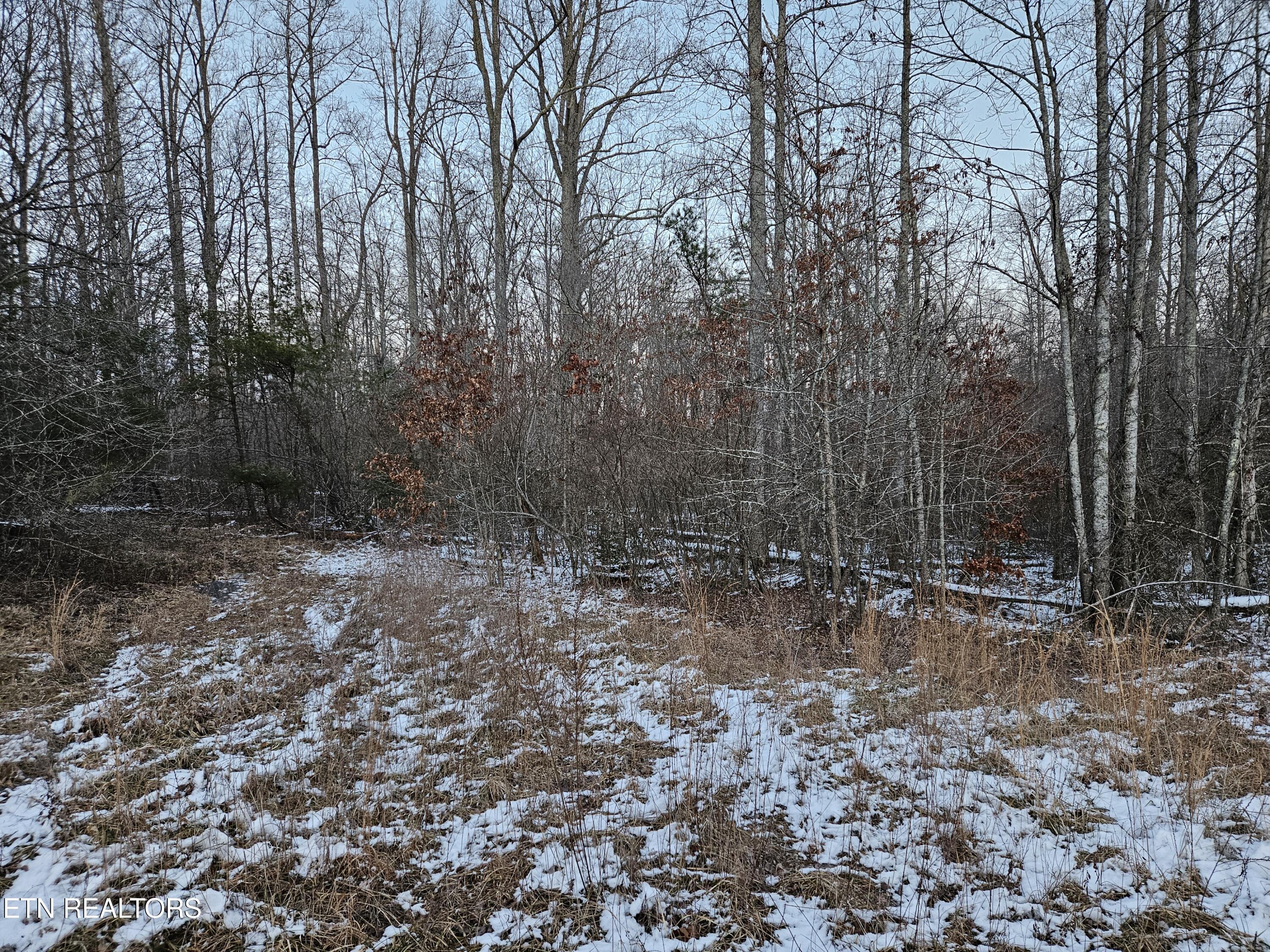 1234 Rodgers Rd, Crossville, TN 38572 — photo 2