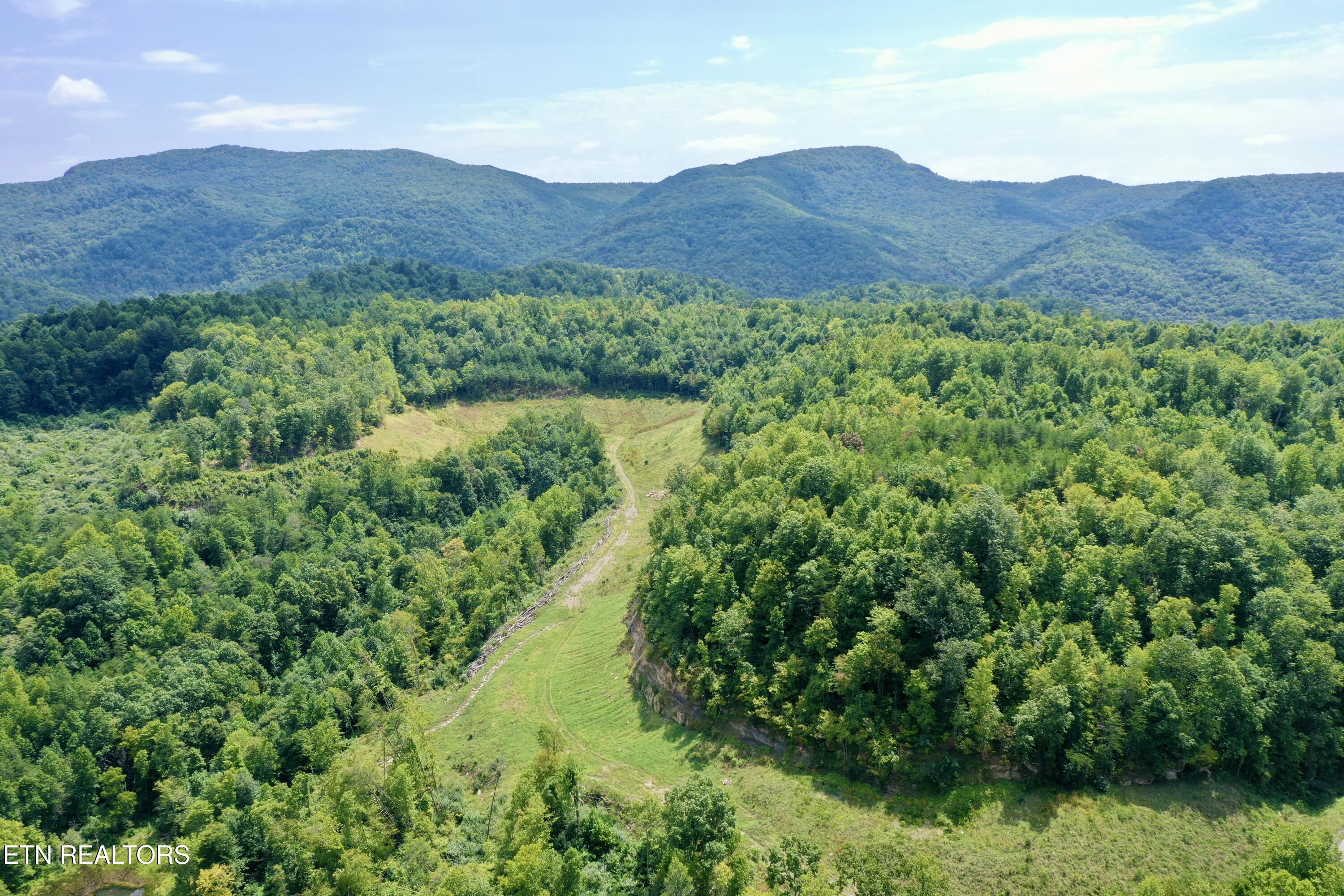 Westbourne Rd, Duff, TN 37729 — photo 2