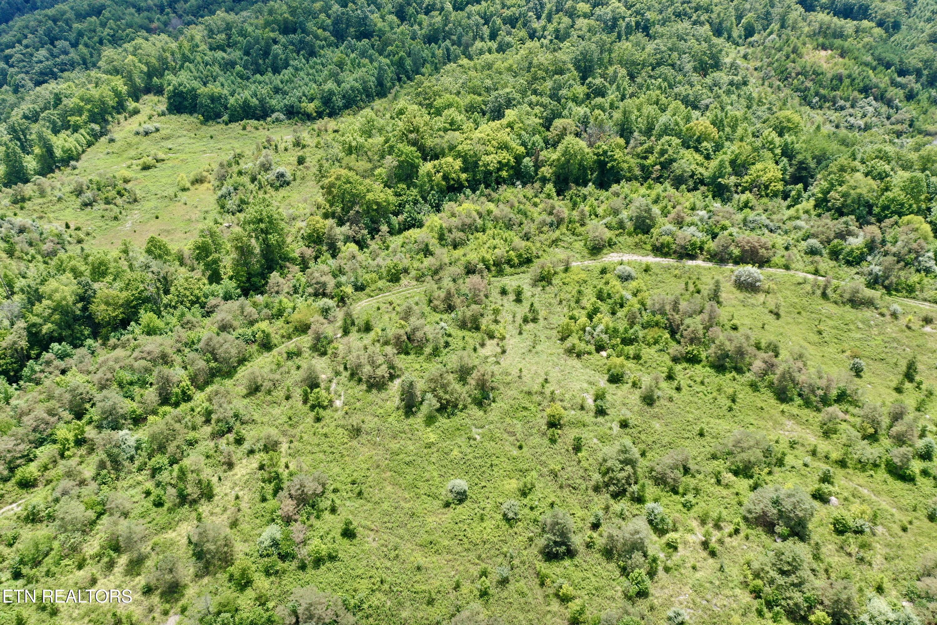 Westbourne Rd, Duff, TN 37729 — photo 3