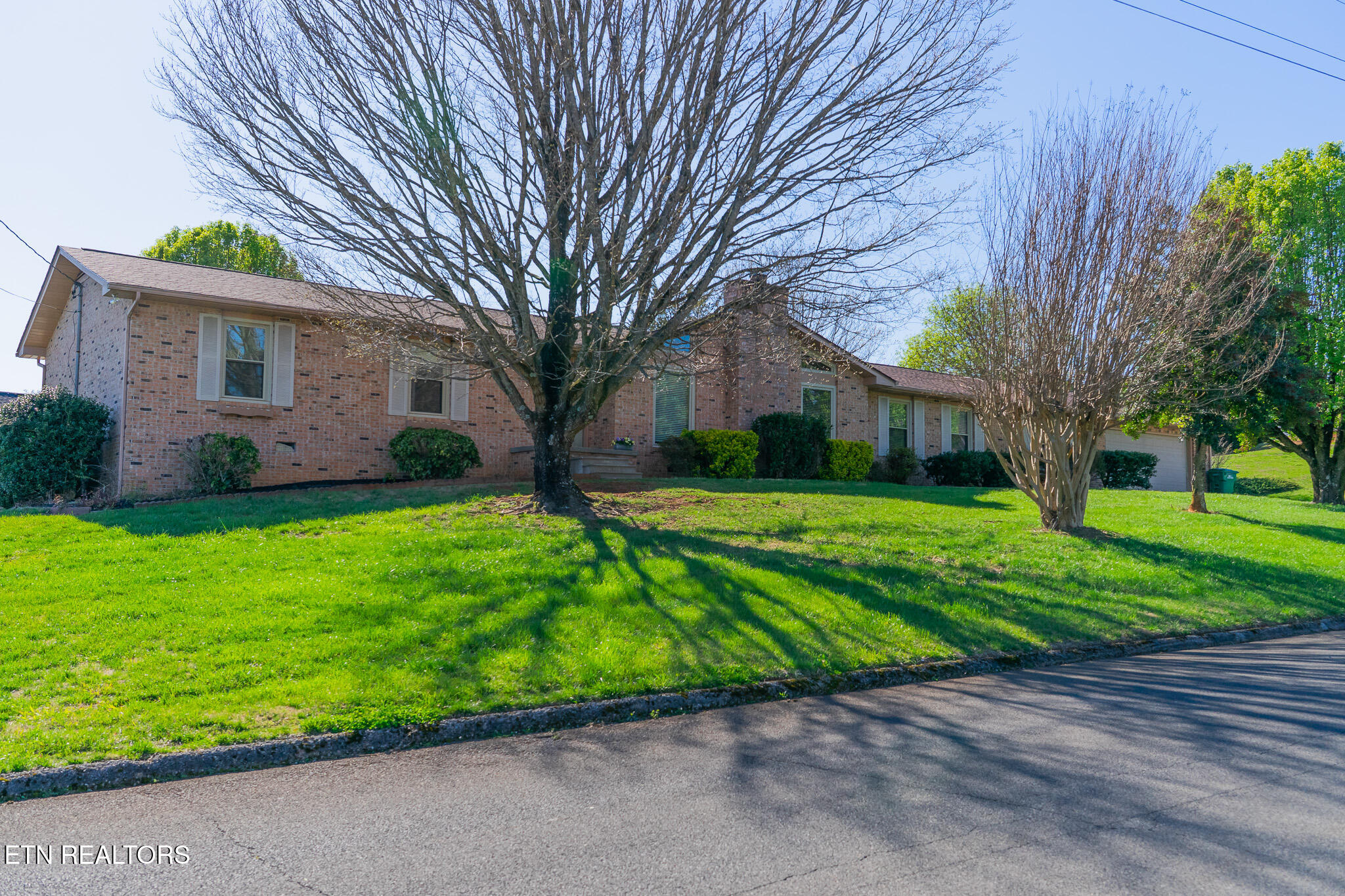 519 Scenic View Drive — photo