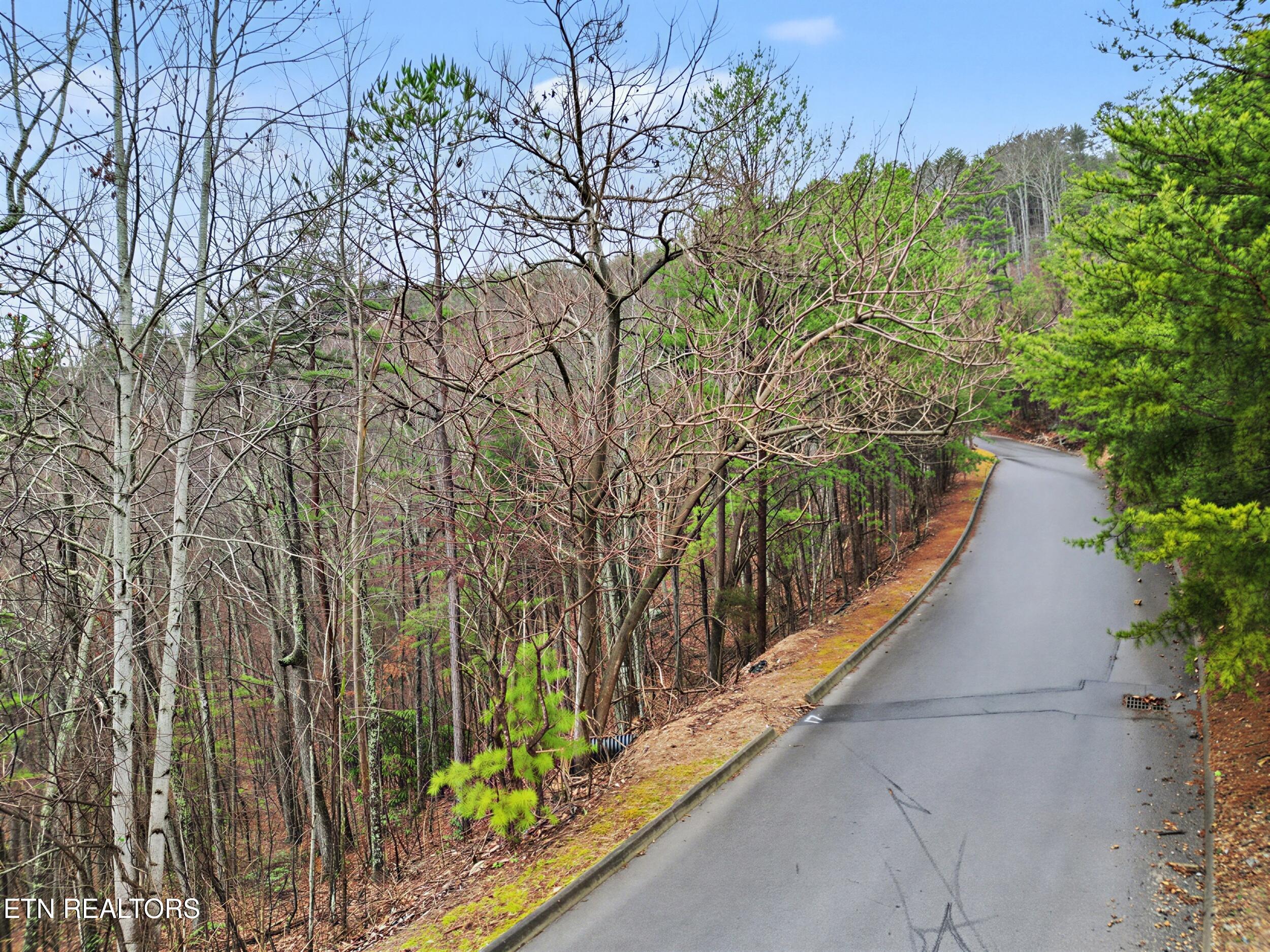 Autumn Ridge Way, Sevierville, TN 37876 — photo 3