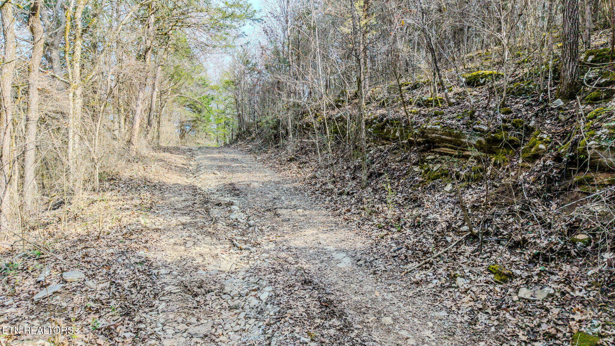 9406 Heiskell Rd, Heiskell, TN 37754 — photo 2