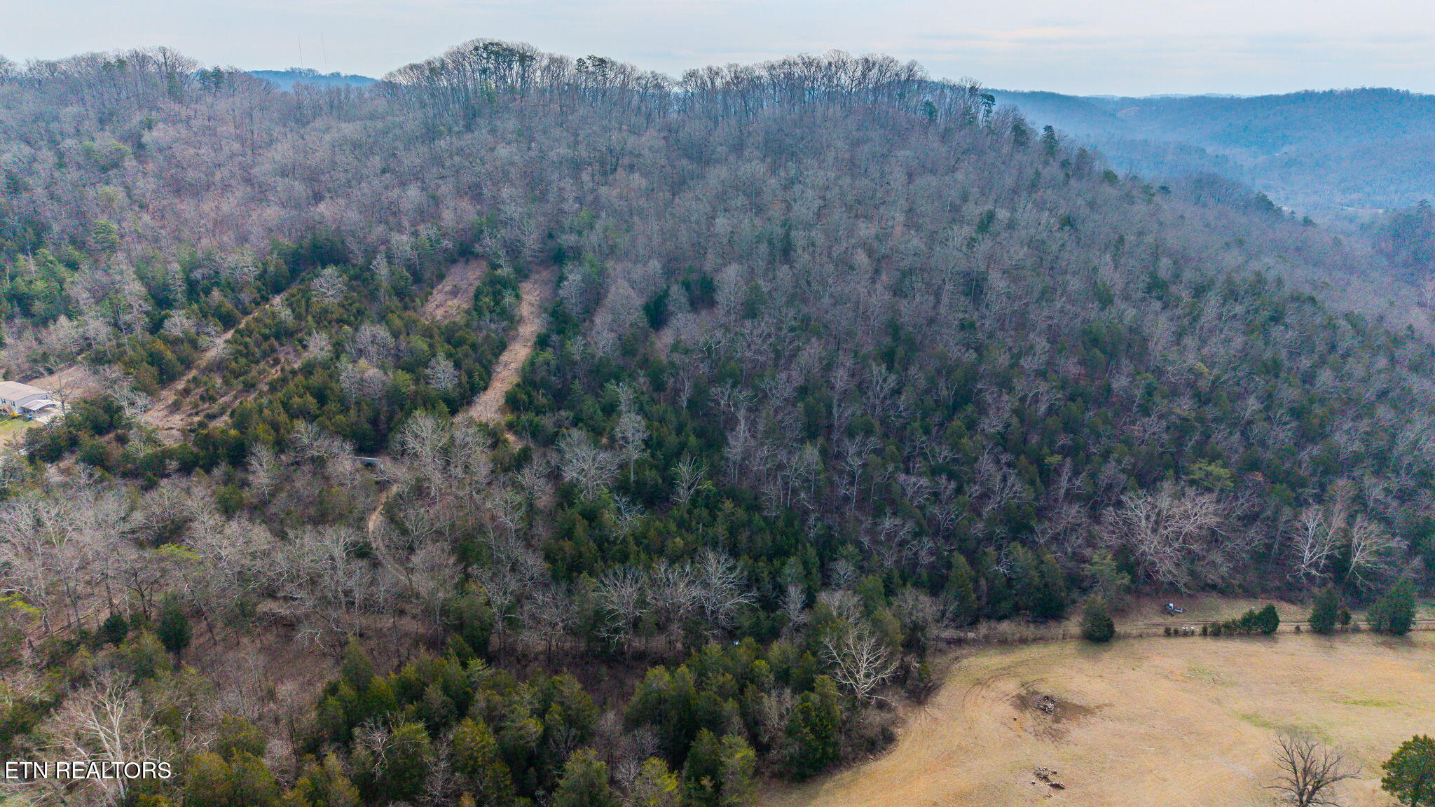 9406 Heiskell Rd, Heiskell, TN 37754 — photo 3