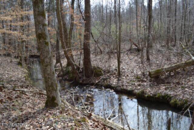 87+/- Boles Rd, Hilham, TN 38568