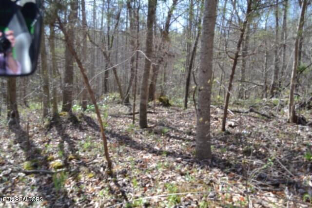 87+/- Boles Rd, Hilham, TN 38568 — photo 3