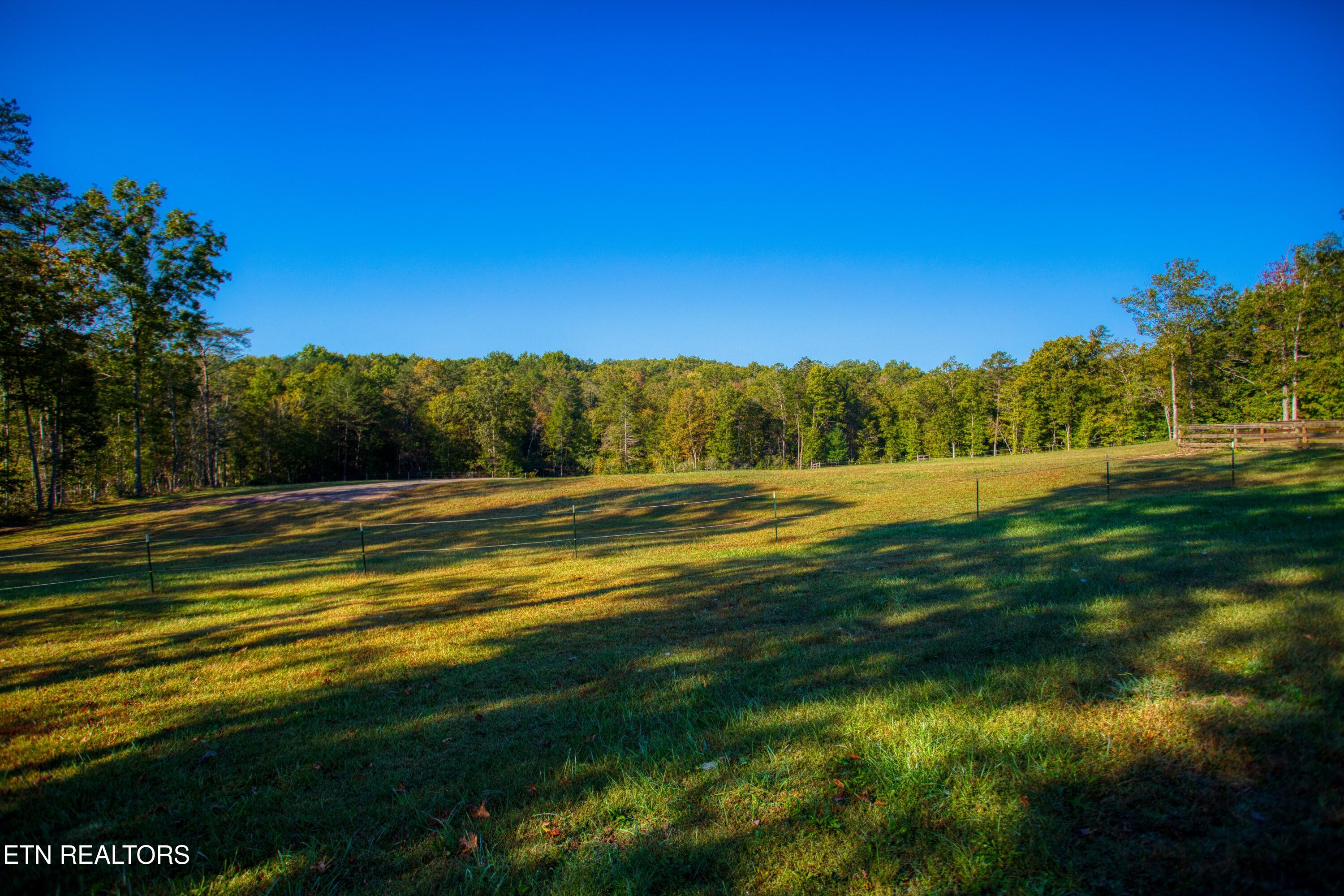 642 Buck Ridge Rd, Jamestown, TN 38556 — photo 3