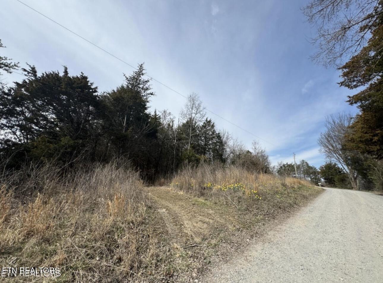 Bear Creek Rd Off Rd, Bybee, TN 37713 — photo 3