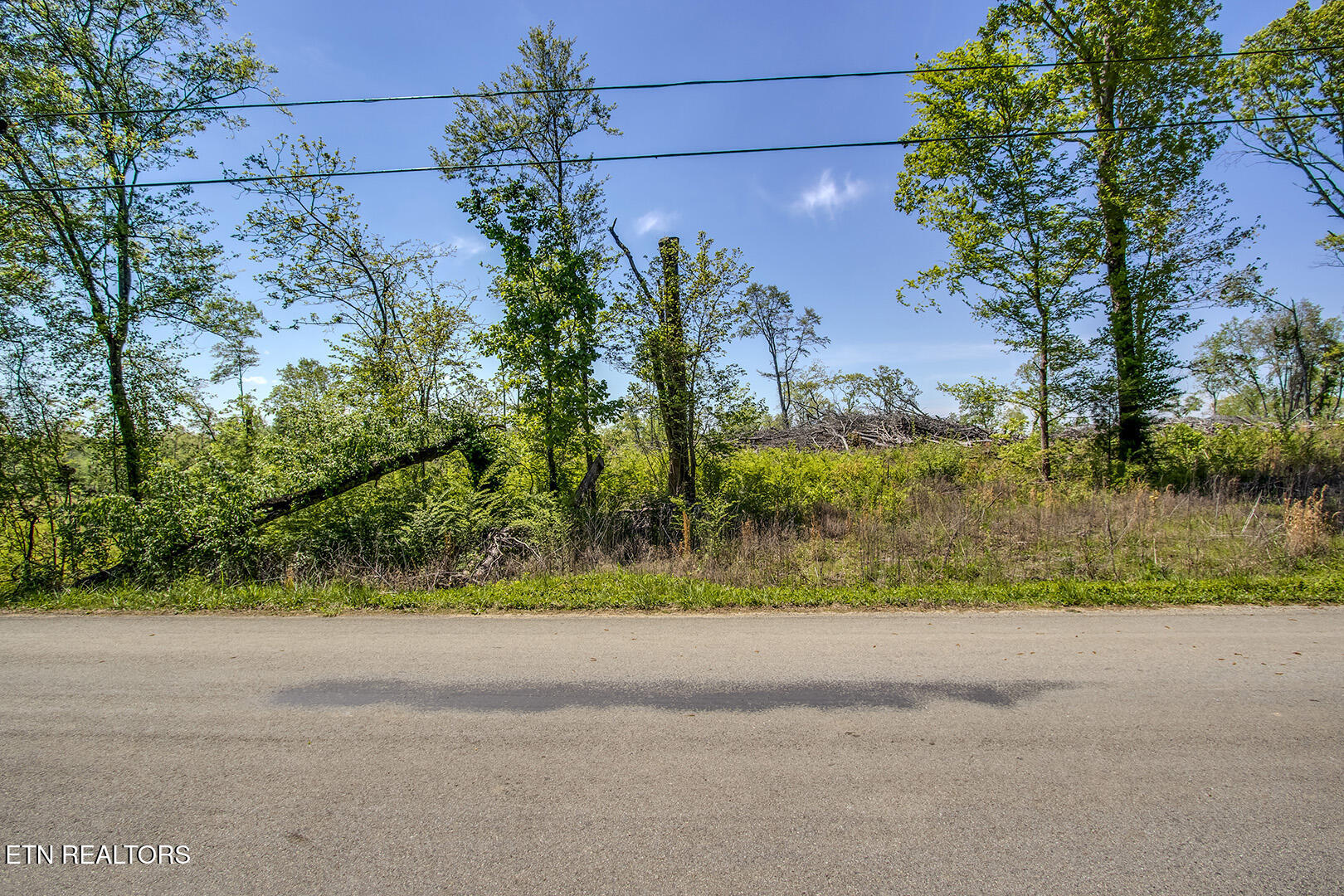 713 Oak Grove Rd, Decatur, TN 37322 — photo 2