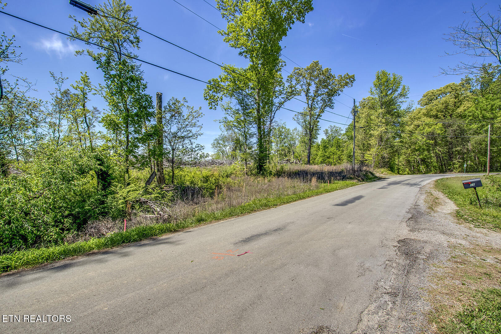 713 Oak Grove Rd, Decatur, TN 37322 — photo 3