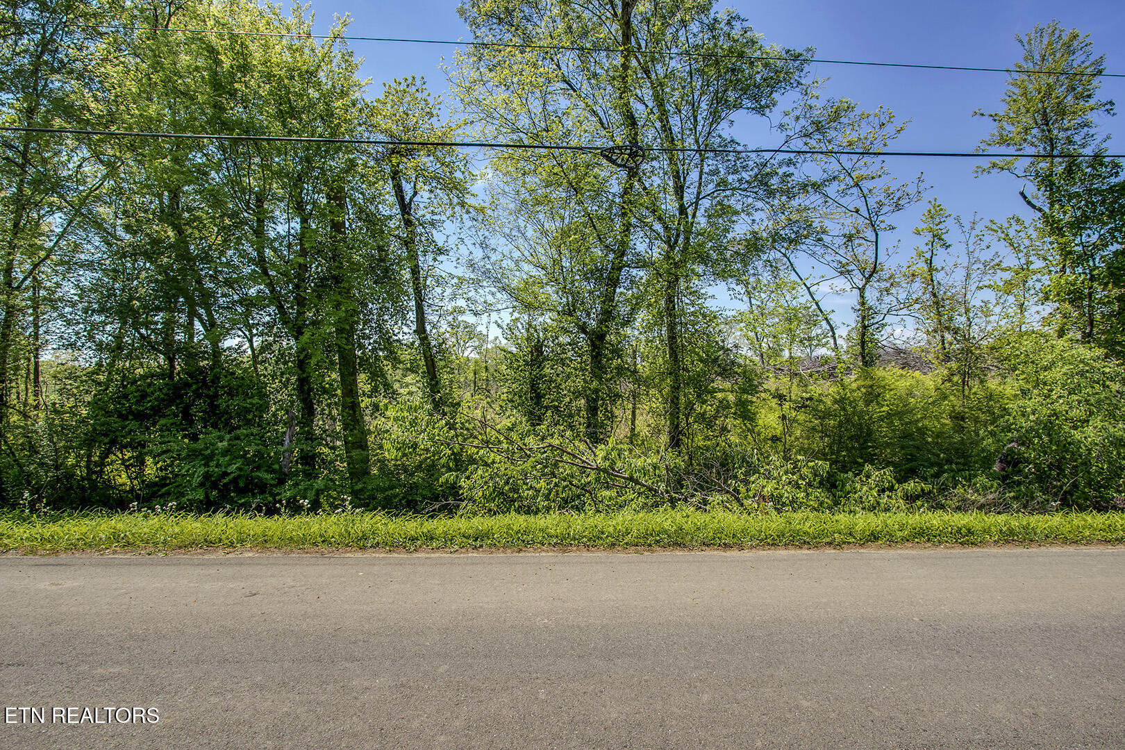 695 Oak Grove Rd, Decatur, TN 37322 — photo 2