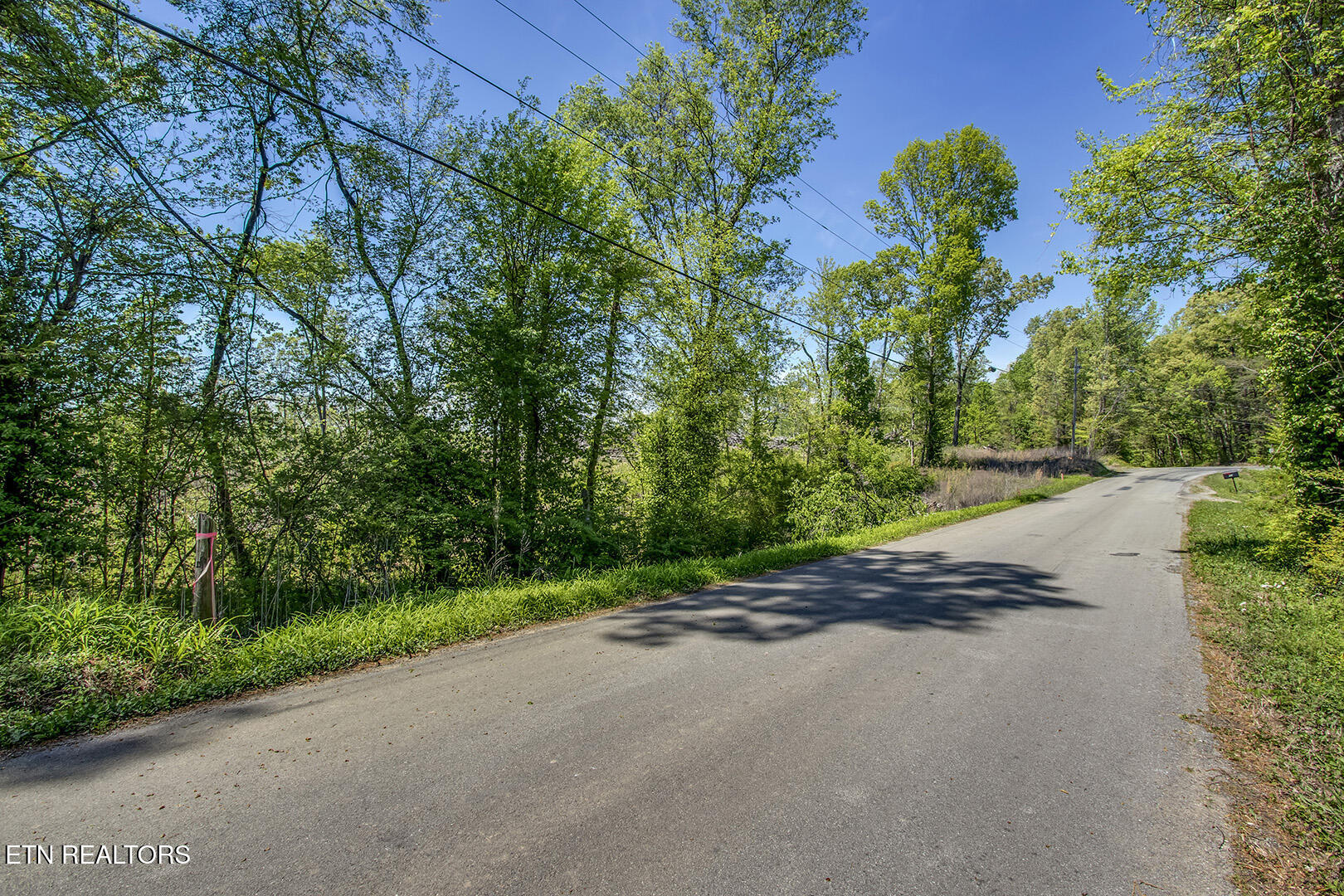 695 Oak Grove Rd, Decatur, TN 37322 — photo 3