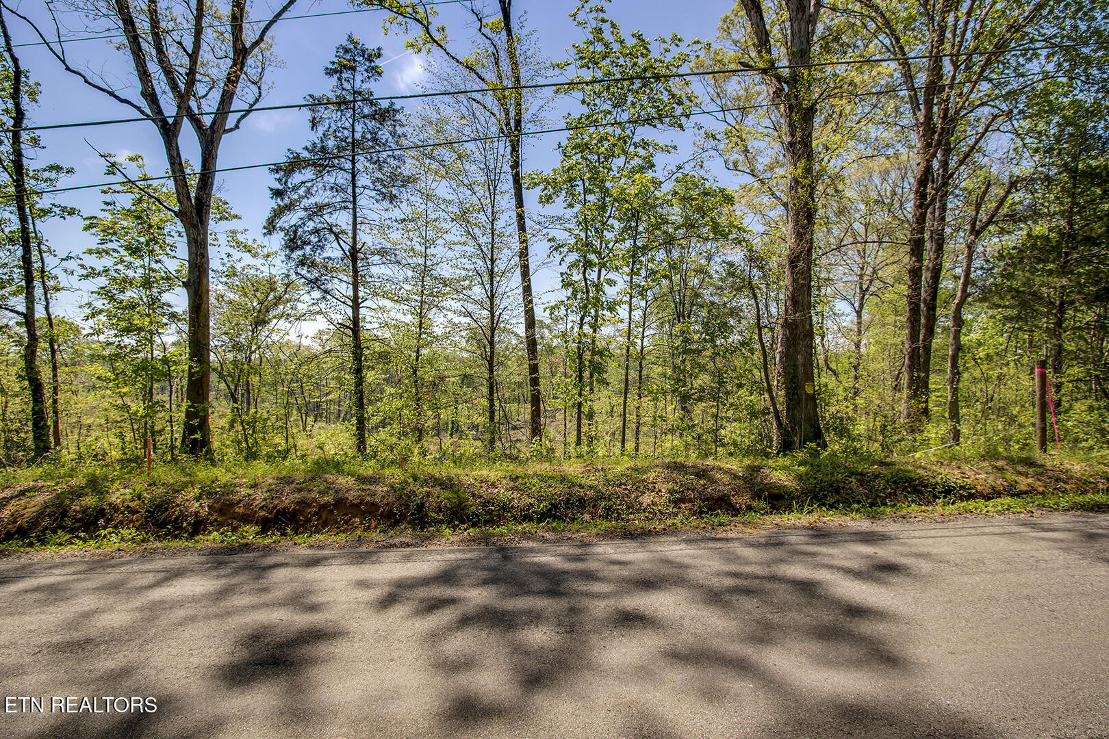 645 Oak Grove Rd, Decatur, TN 37322 — photo 2