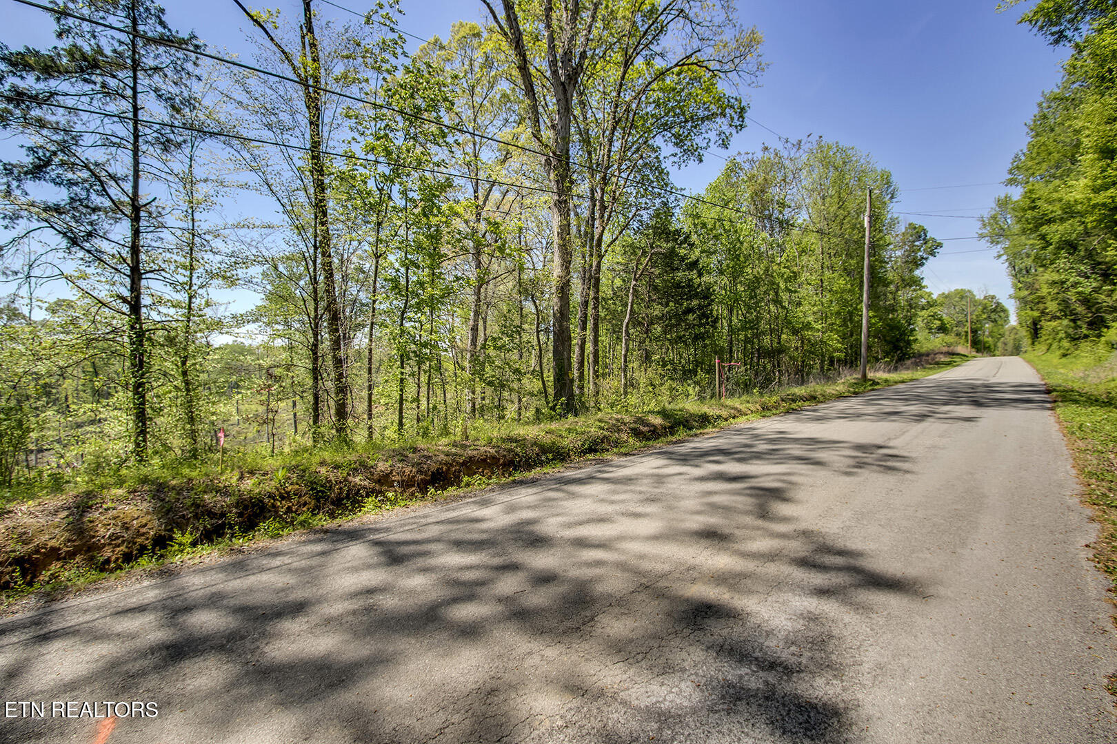 645 Oak Grove Rd, Decatur, TN 37322 — photo 3