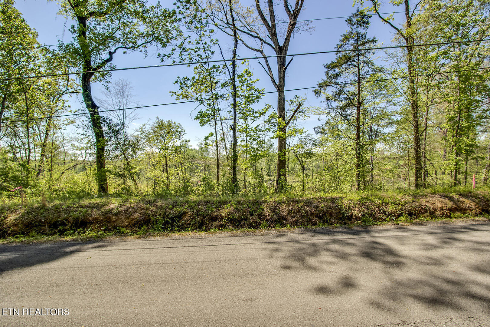 567 Oak Grove Rd, Decatur, TN 37322 — photo 2