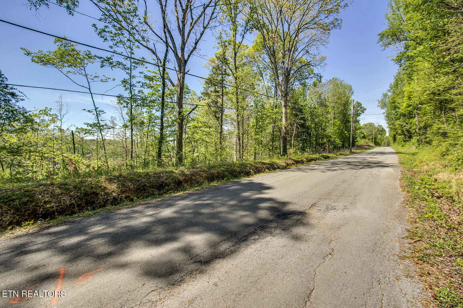 567 Oak Grove Rd, Decatur, TN 37322 — photo 3