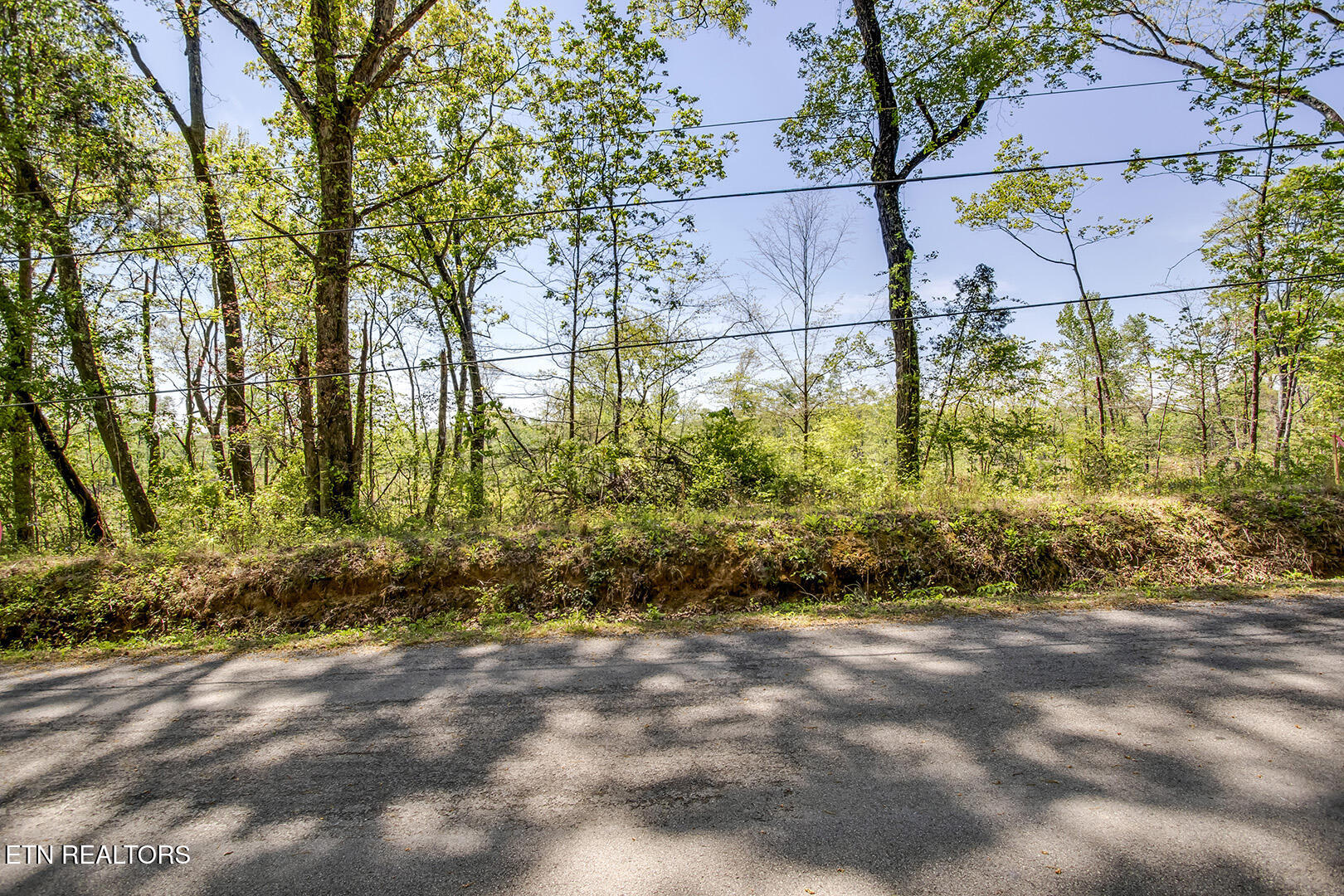 555 Oak Grove Rd, Decatur, TN 37322 — photo 2