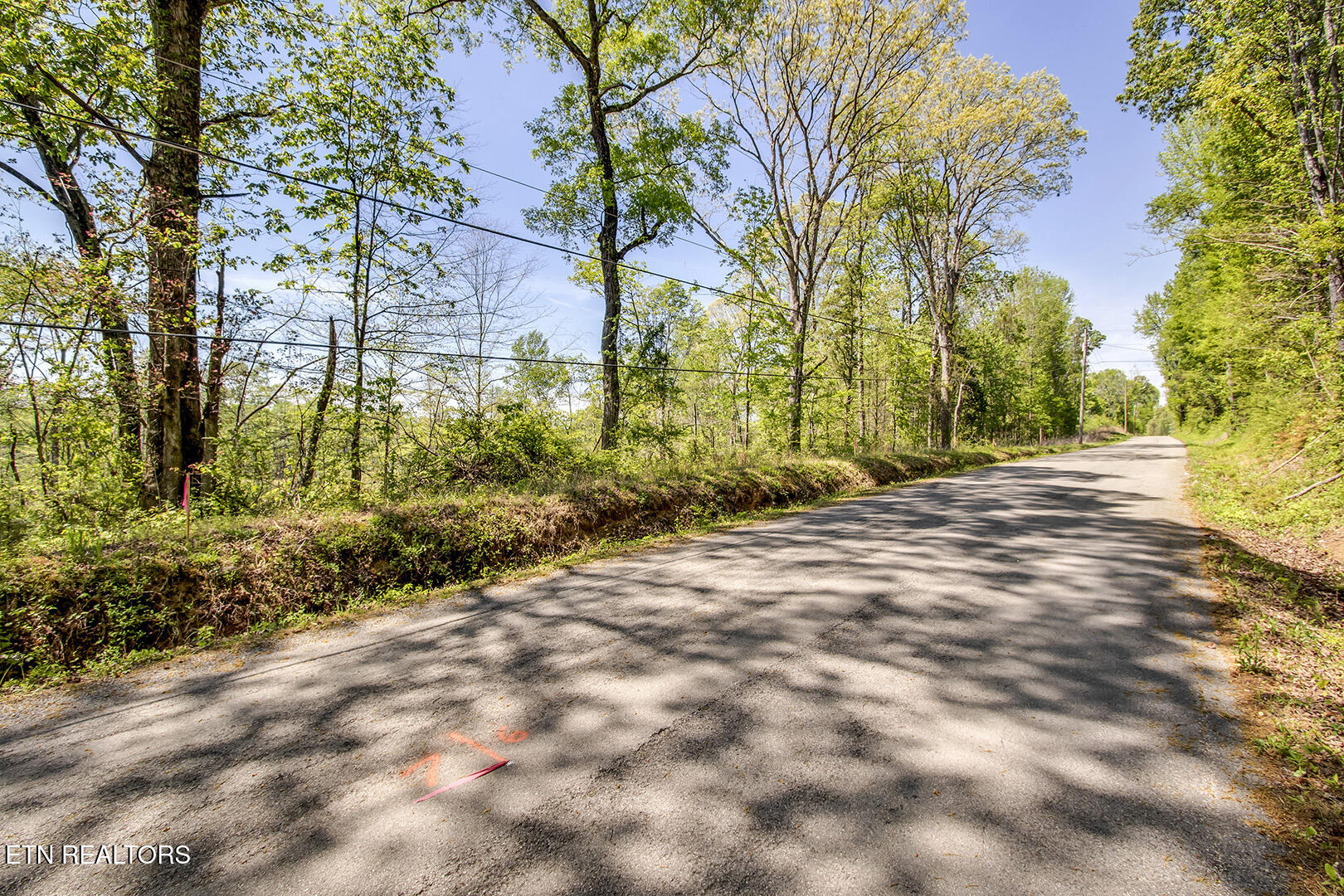 555 Oak Grove Rd, Decatur, TN 37322 — photo 3