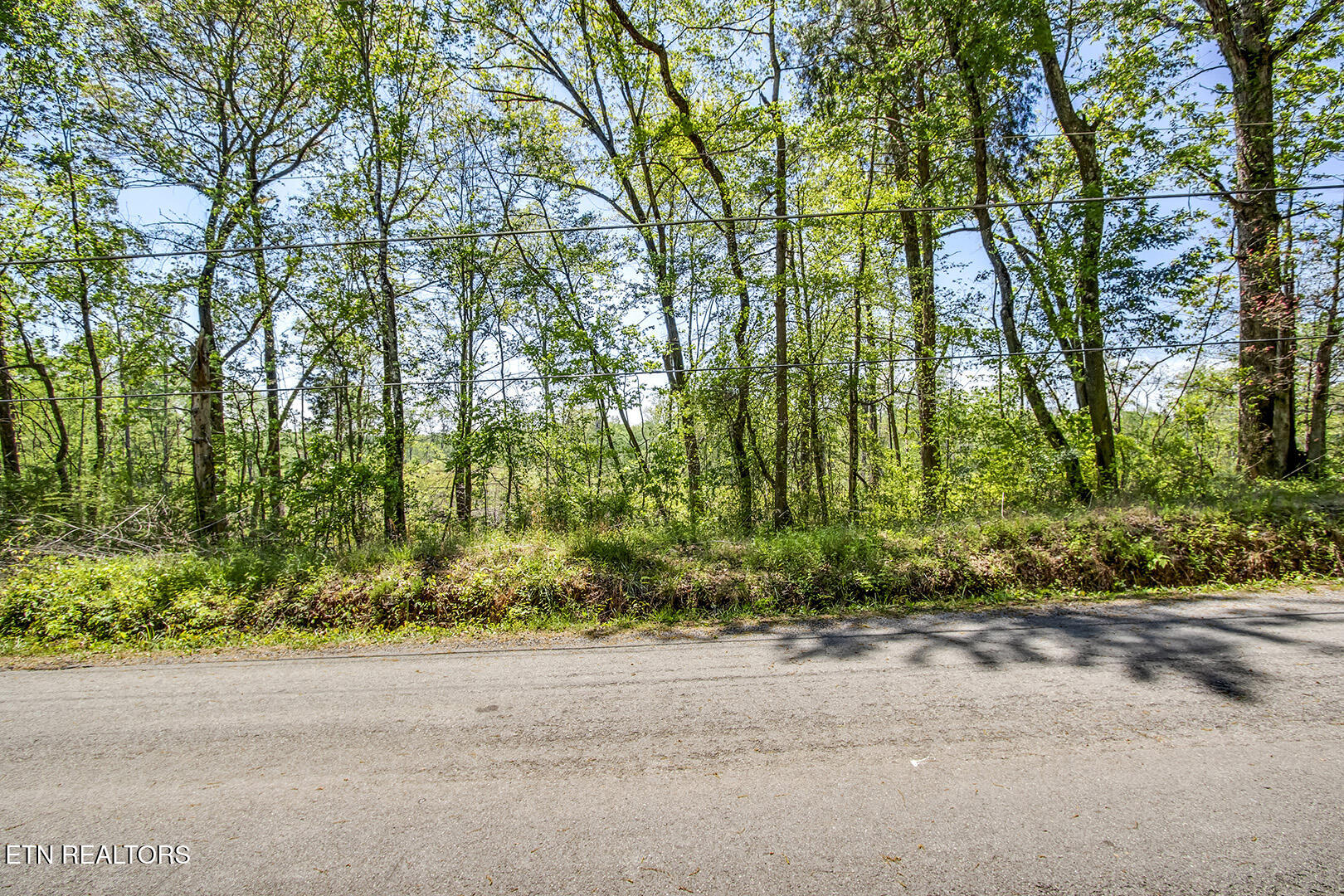 549 Oak Grove Rd, Decatur, TN 37322 — photo 2