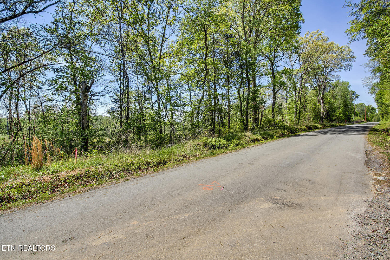 549 Oak Grove Rd, Decatur, TN 37322 — photo 3