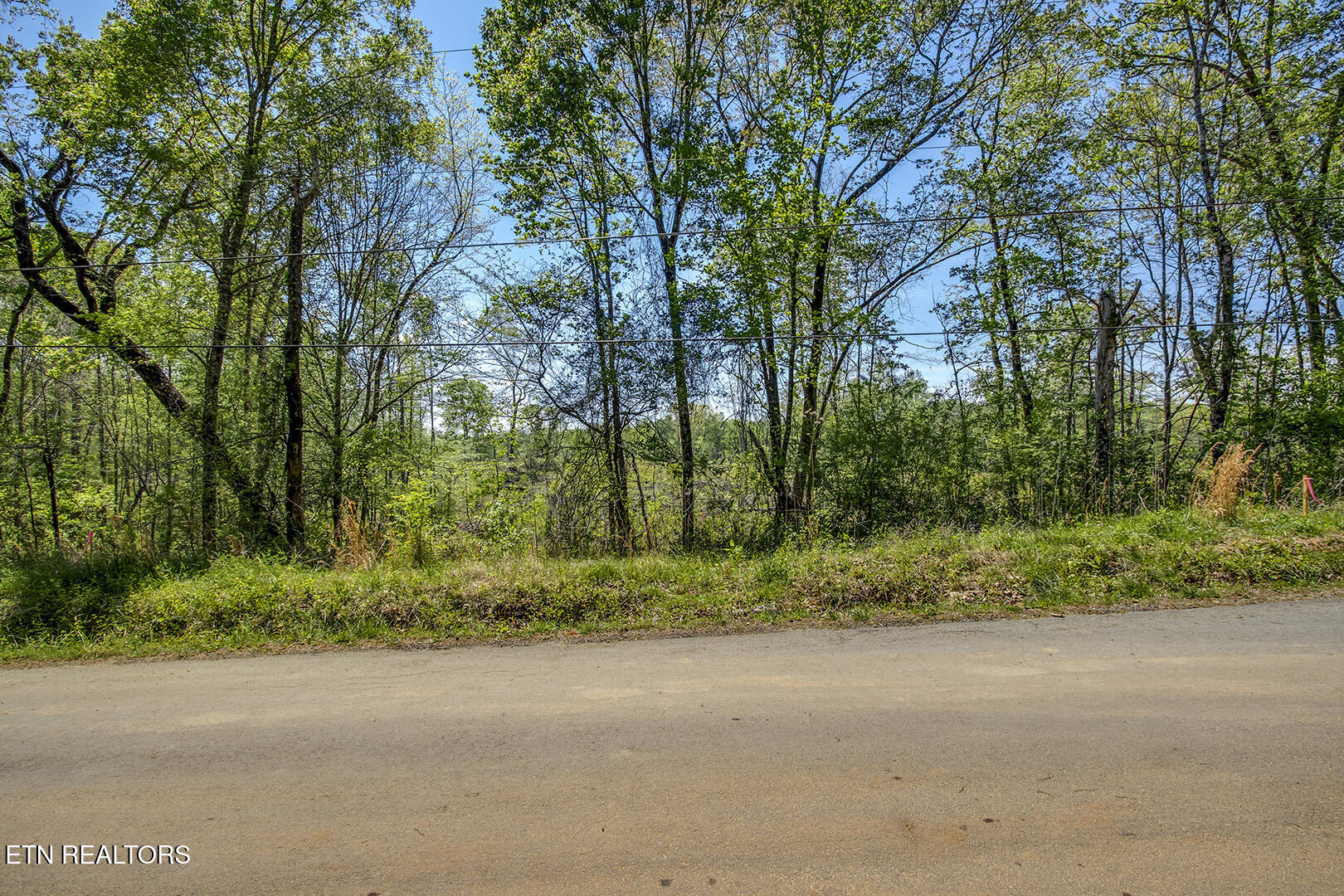 537 Oak Grove Rd, Decatur, TN 37322 — photo 2