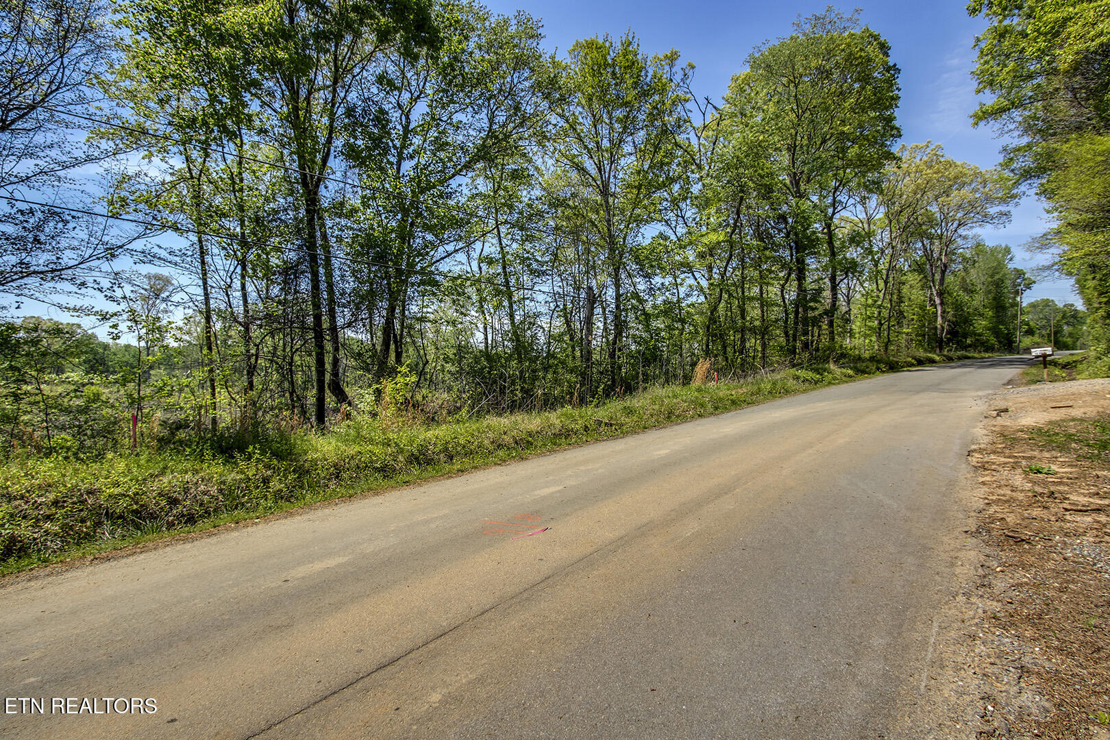 537 Oak Grove Rd, Decatur, TN 37322 — photo 3