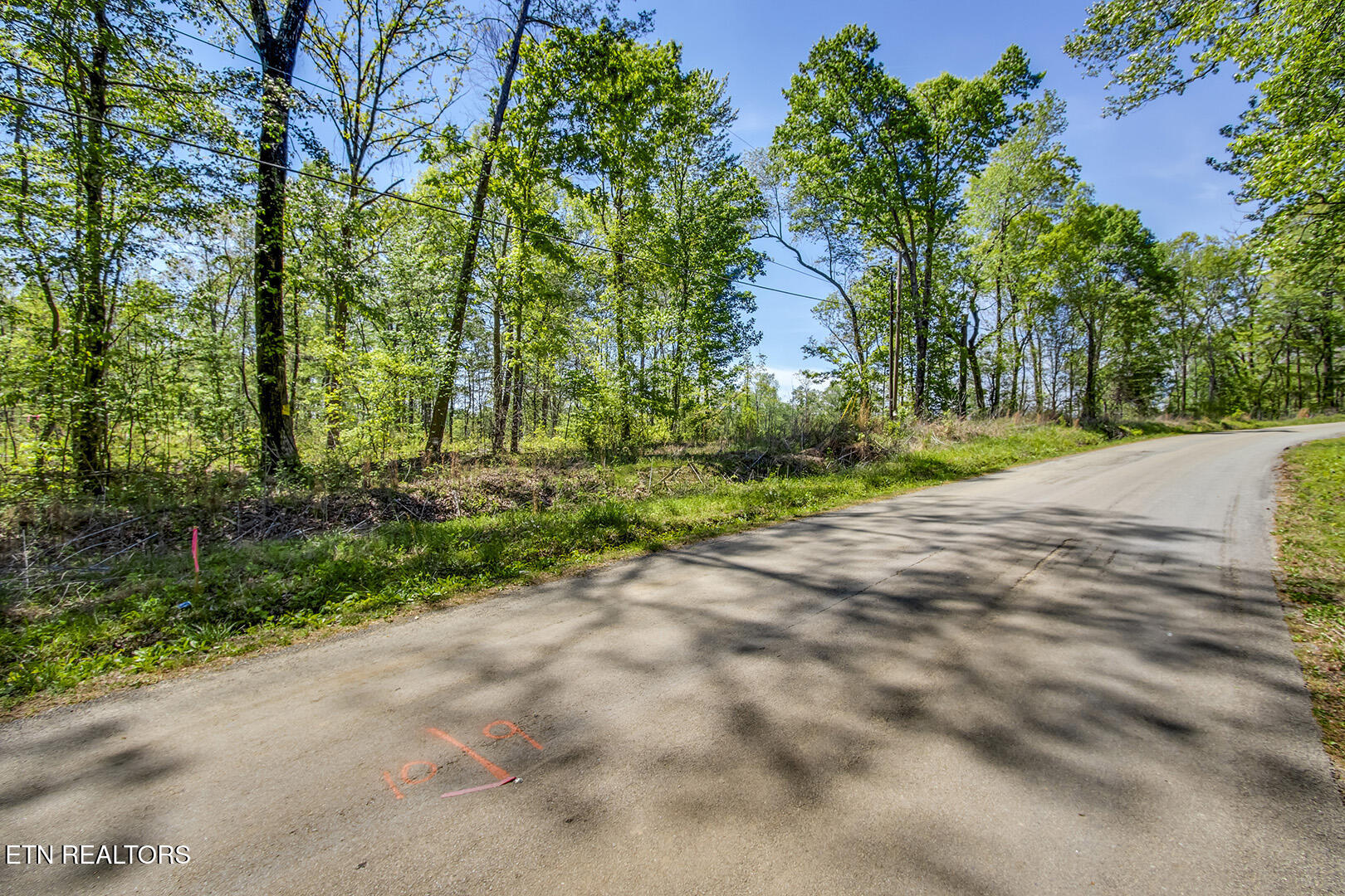 505 Oak Grove Rd, Decatur, TN 37322 — photo 3