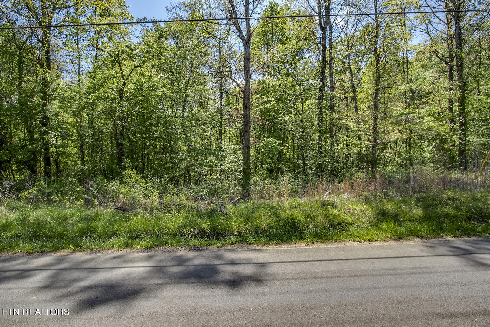 435 Oak Grove Rd, Decatur, TN 37322 — photo 2