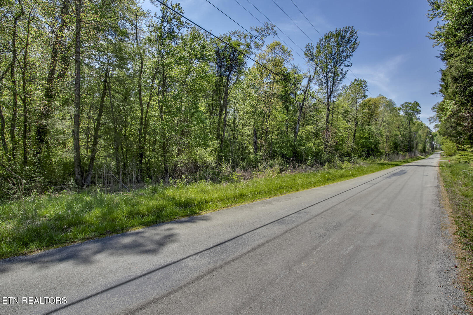 435 Oak Grove Rd, Decatur, TN 37322 — photo 3