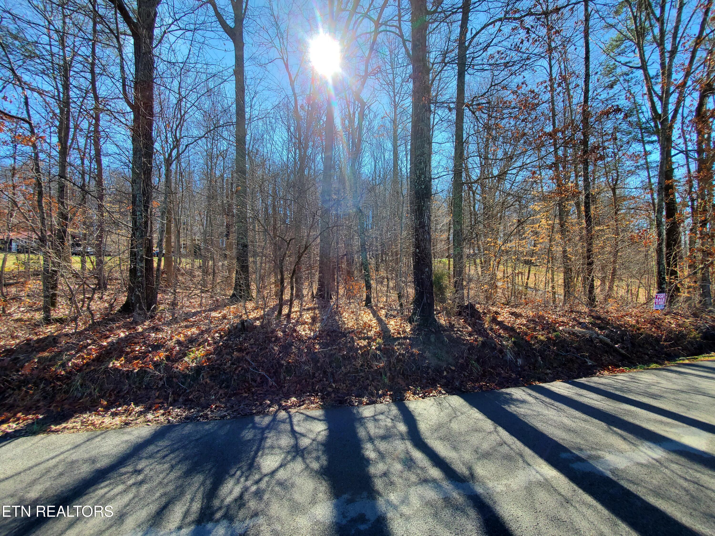 0 Lester Jarnigan Rd, Rutledge, TN 37861 — photo 2
