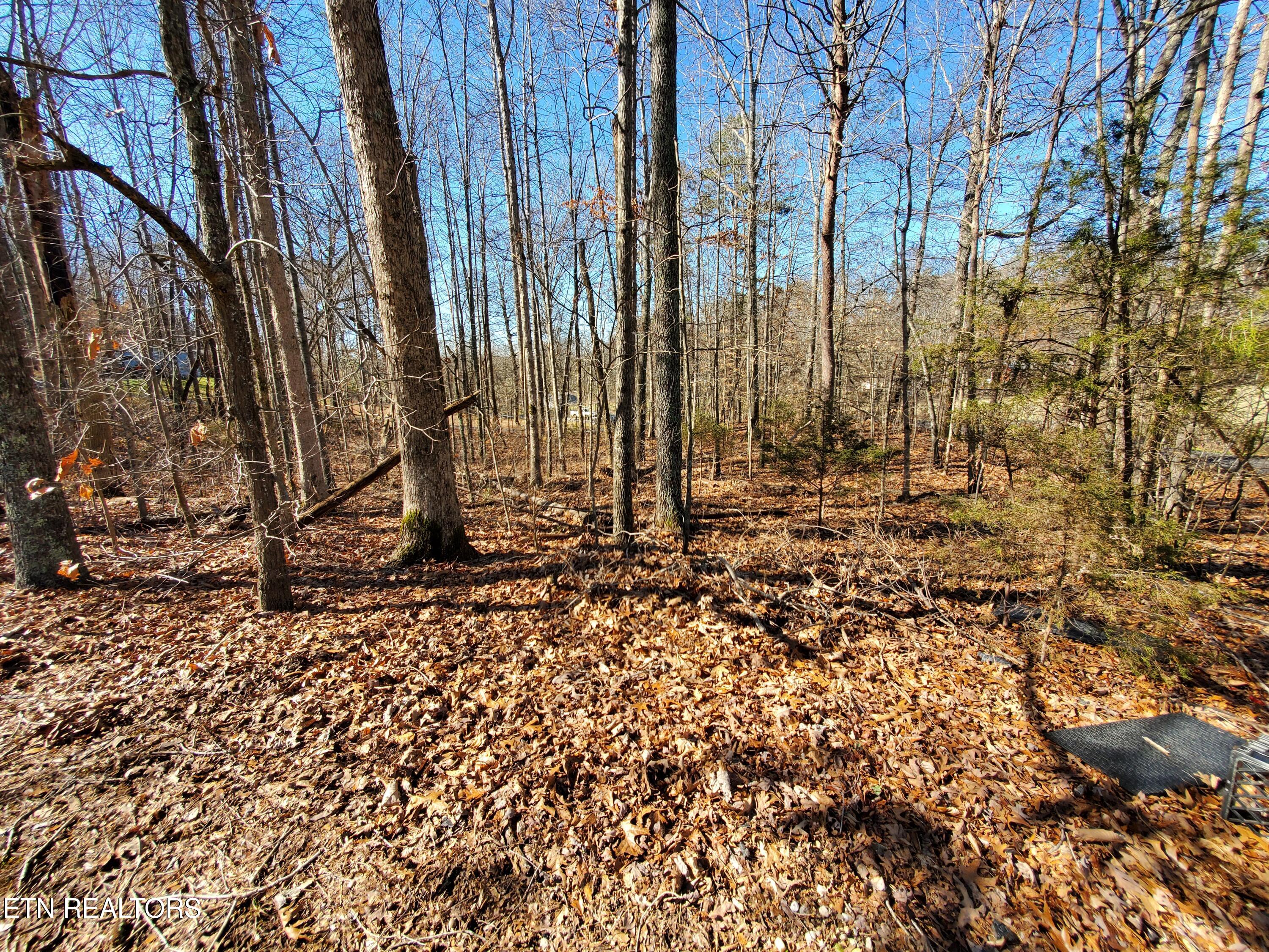 0 Lester Jarnigan Rd, Rutledge, TN 37861 — photo 3