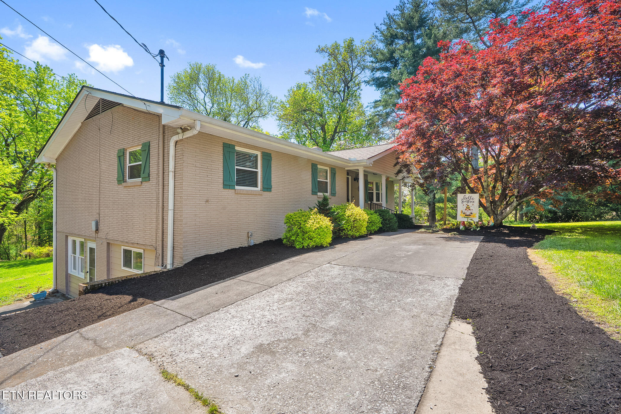 11310 Sonja Drive — photo