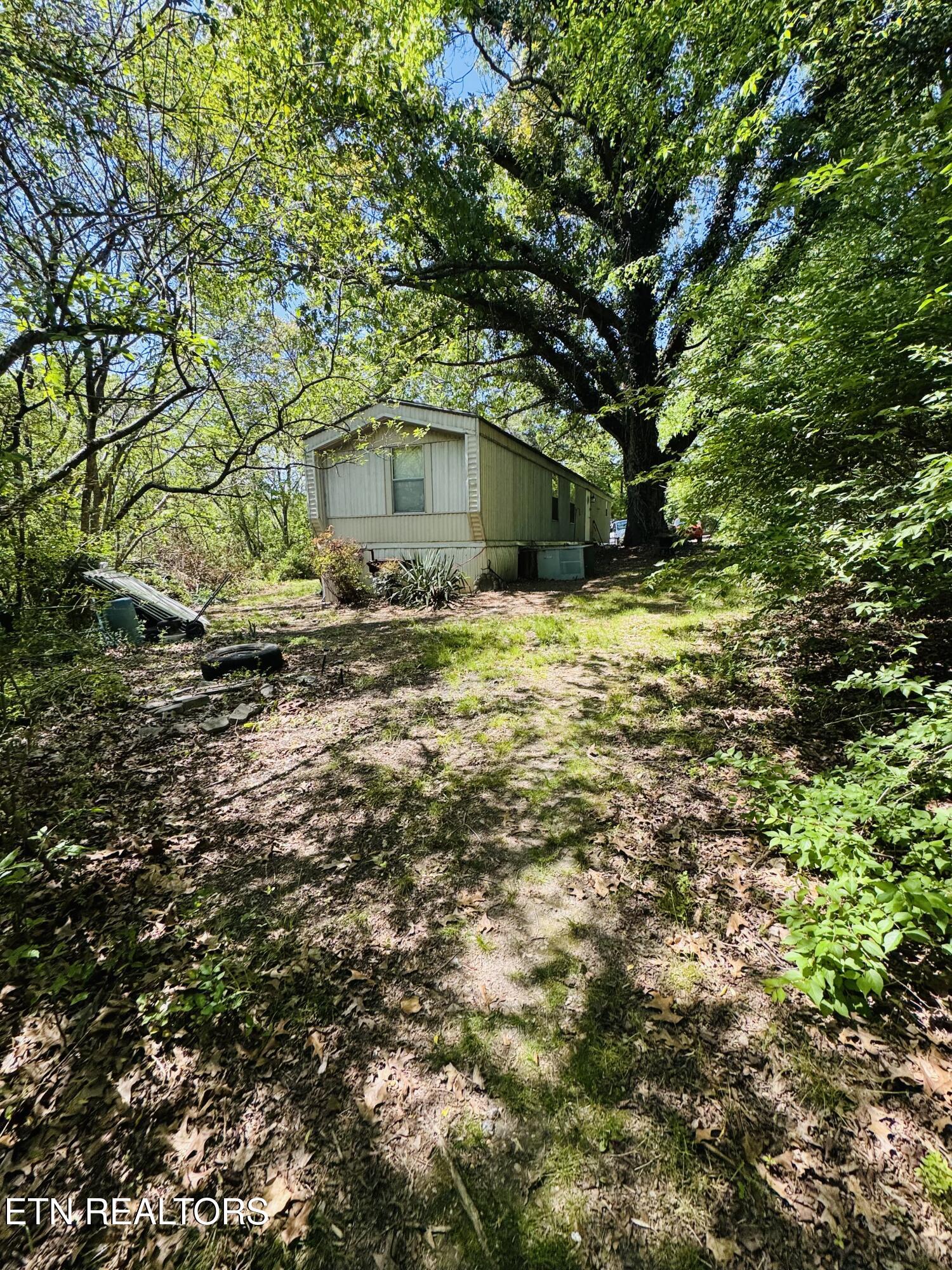 9923 Old Chestnut Ridge Rd, Heiskell, TN 37754 — photo 2