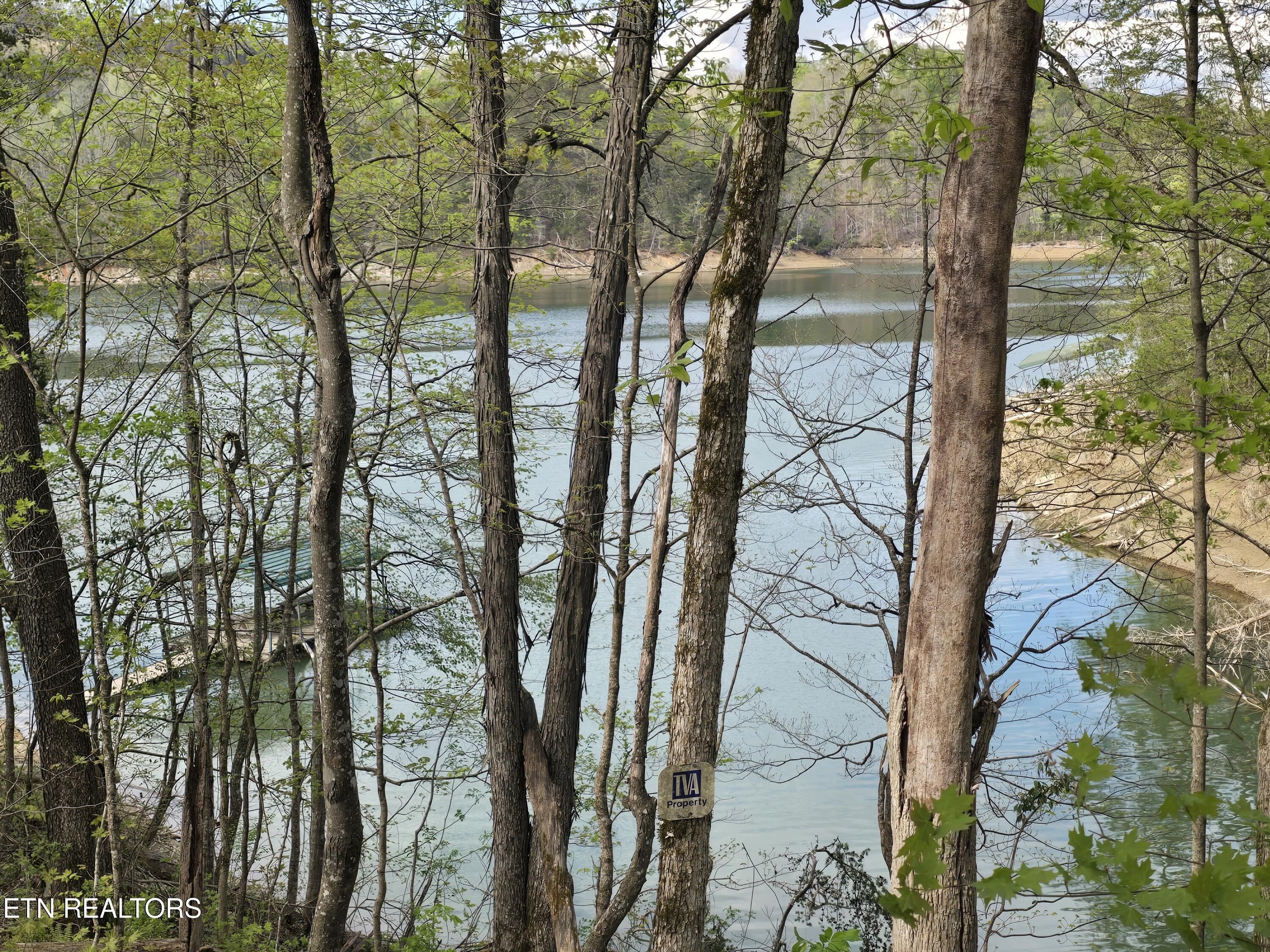 3711 Elm Springs Ridge Rd, Washburn, TN 37888 — photo 2