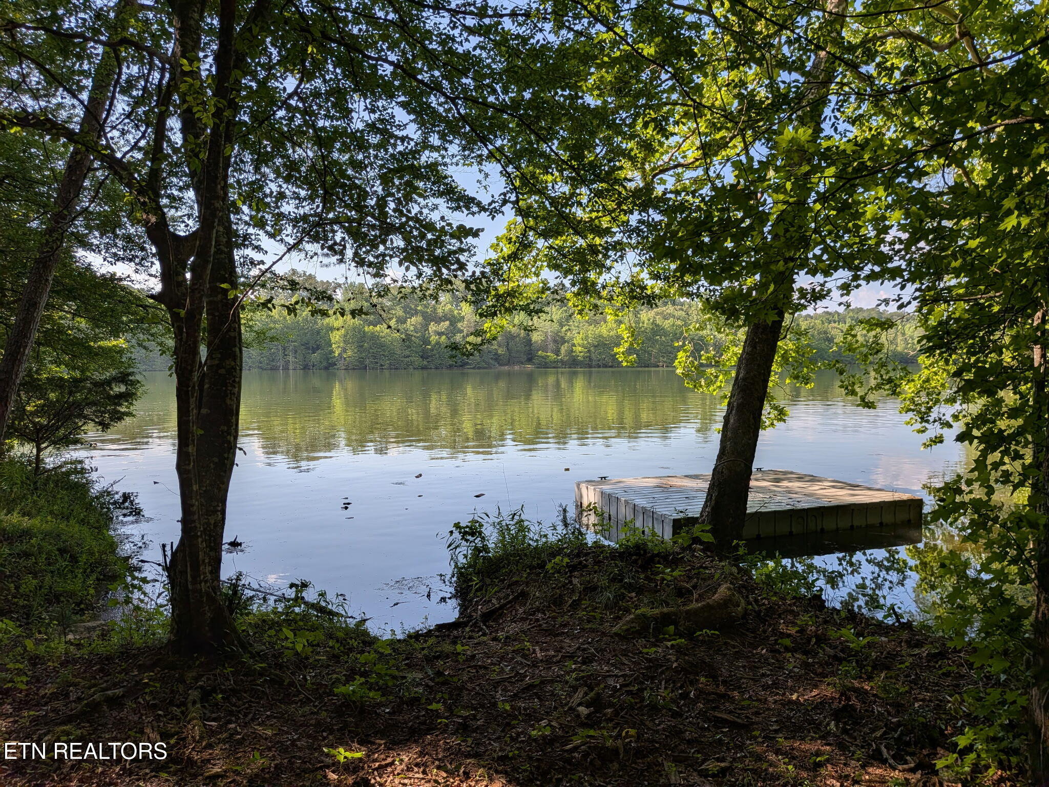 Lot 2 Eagle Ridge Rd, Kingston, TN 37763 — photo 2