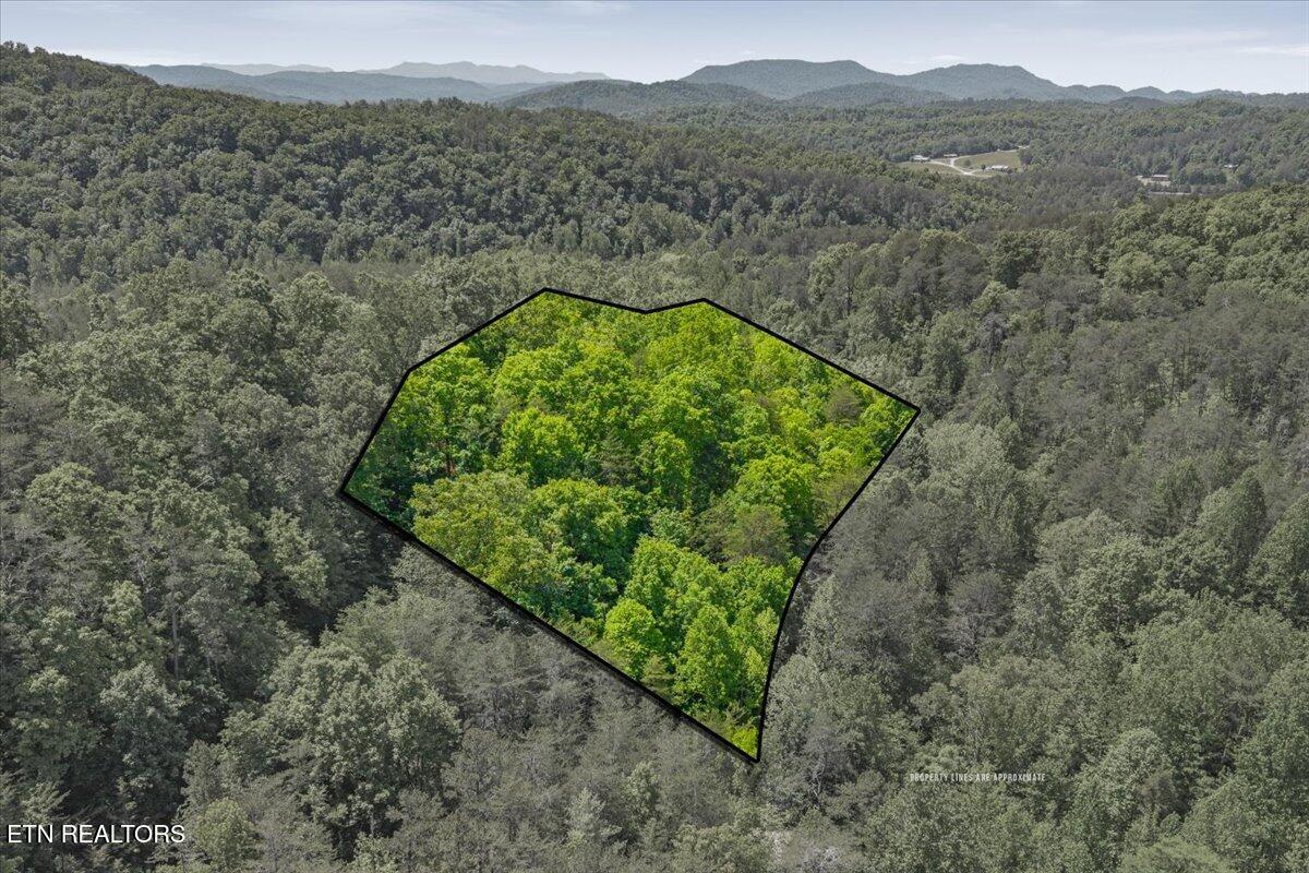 215 Citico Rd. Lot 1 Rd, Vonore, TN 37885